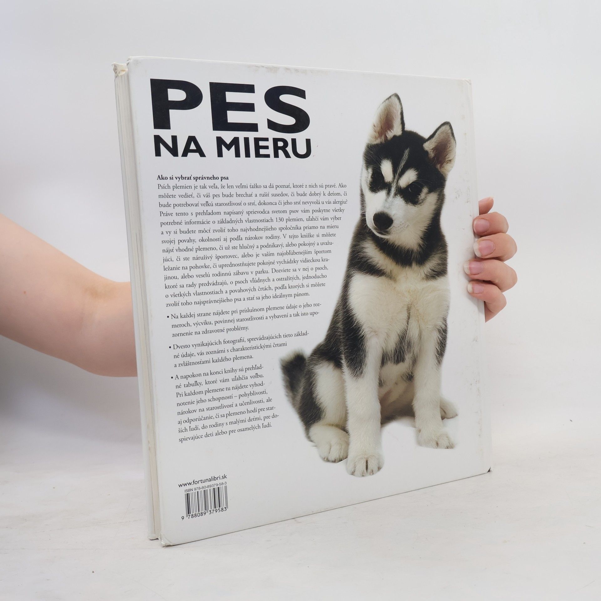 David Adlerton Pes na mieru