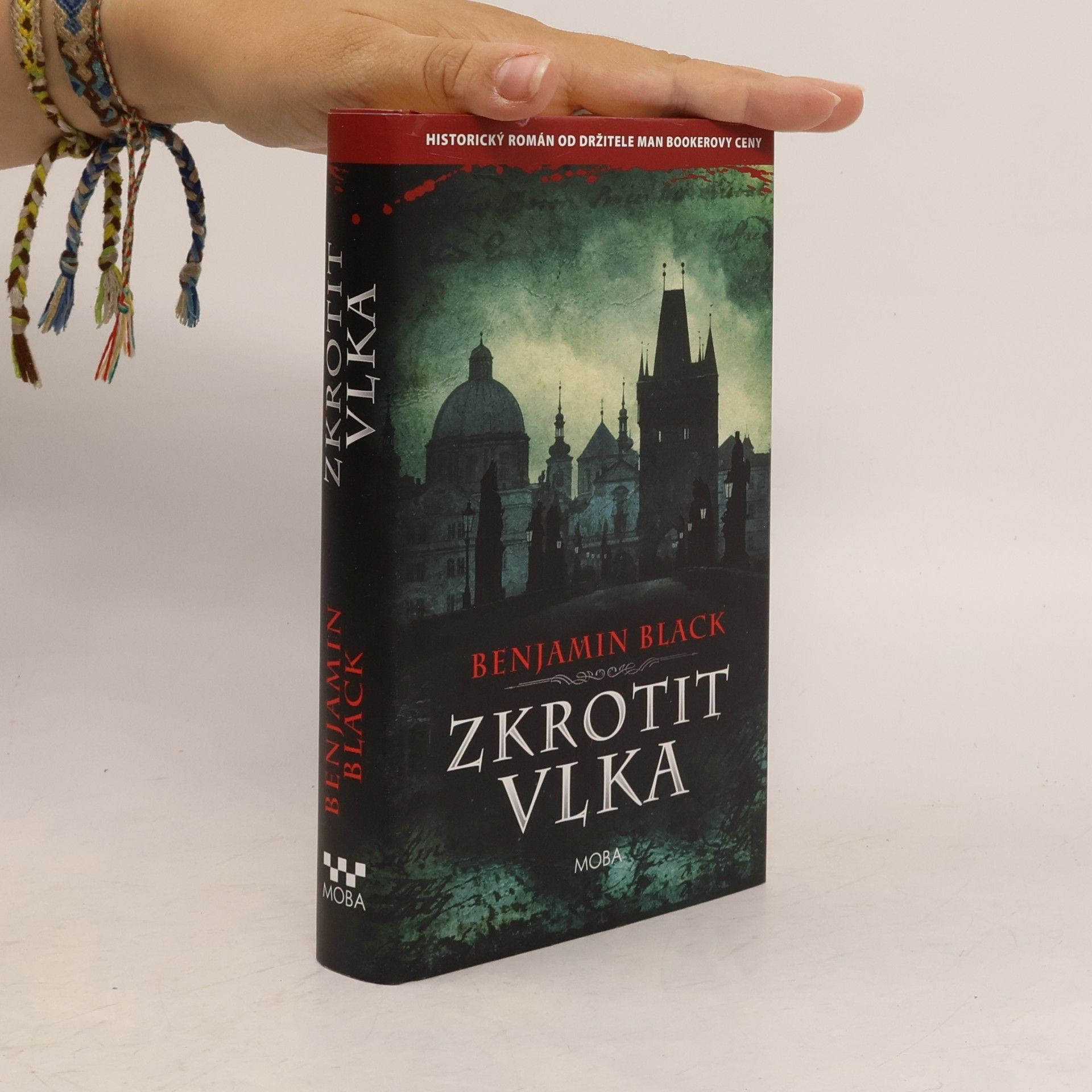 John Banville Zkrotit vlka
