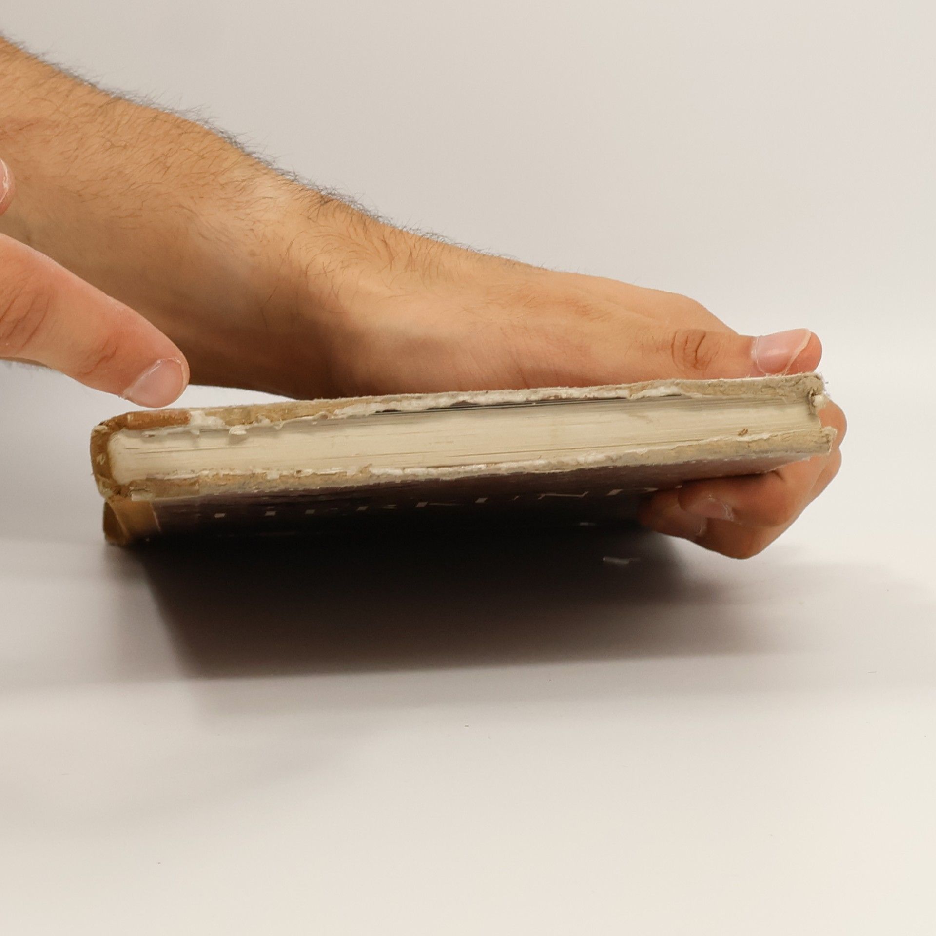 Franz Höpflinger Lehrbuch der Naturgeschichte. Band 1: Tierkunde