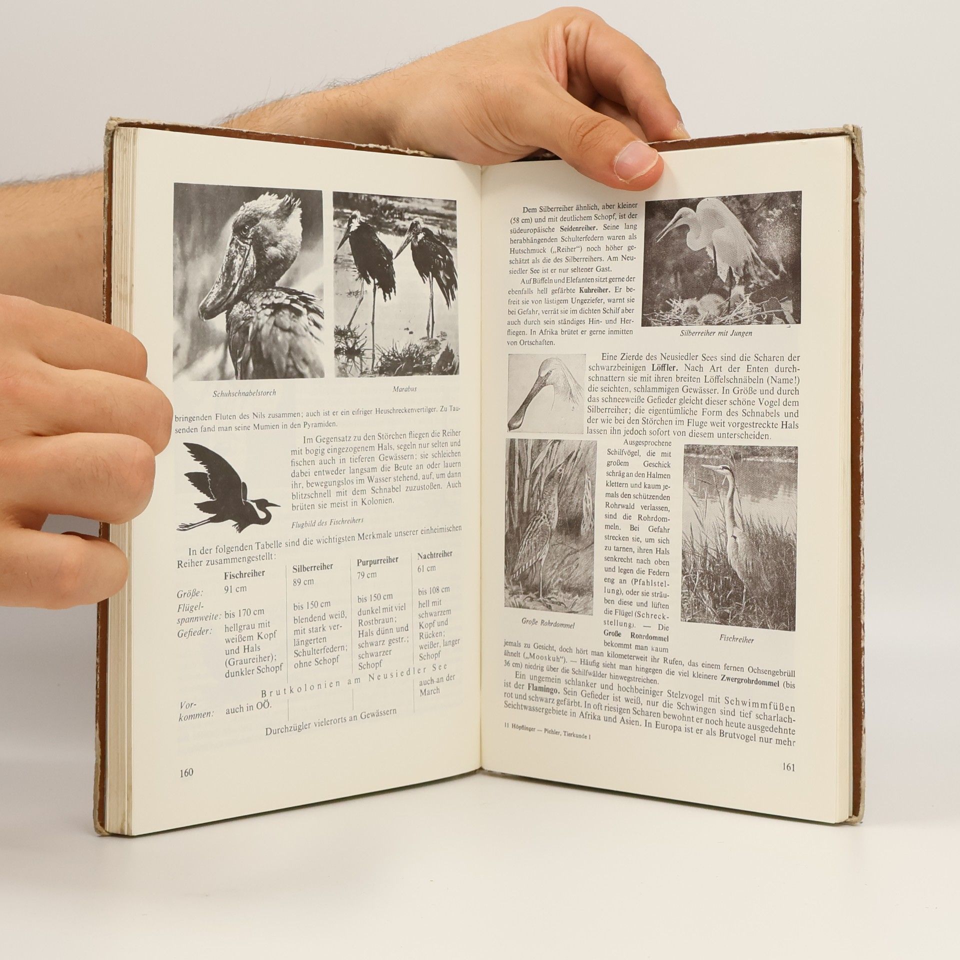 Franz Höpflinger Lehrbuch der Naturgeschichte. Band 1: Tierkunde