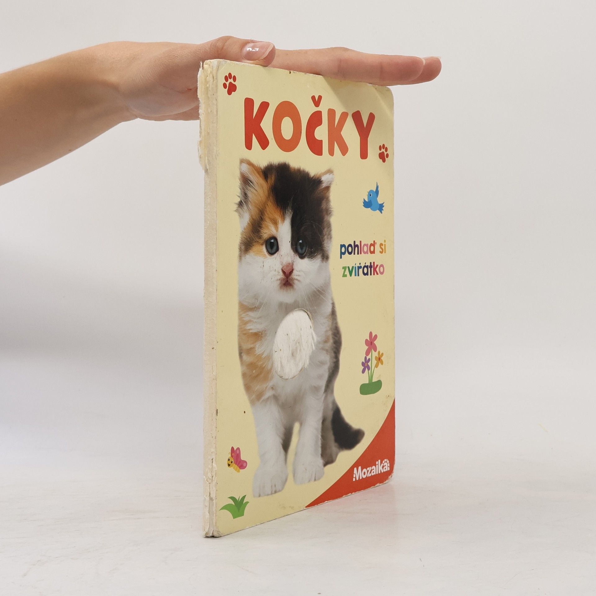 Kolektív autorov Kočky: pohlaď si zvířátko