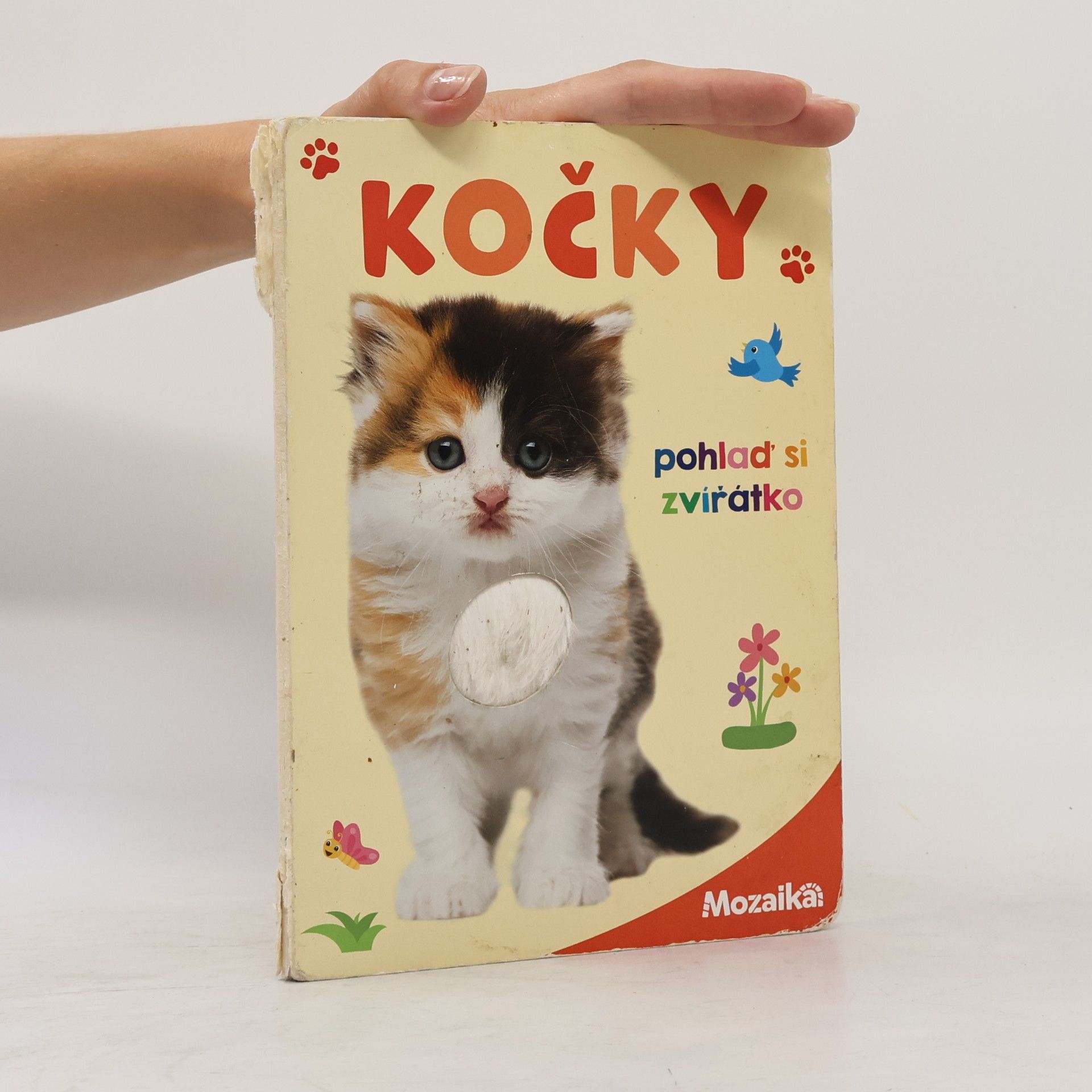 Kolektív autorov Kočky: pohlaď si zvířátko