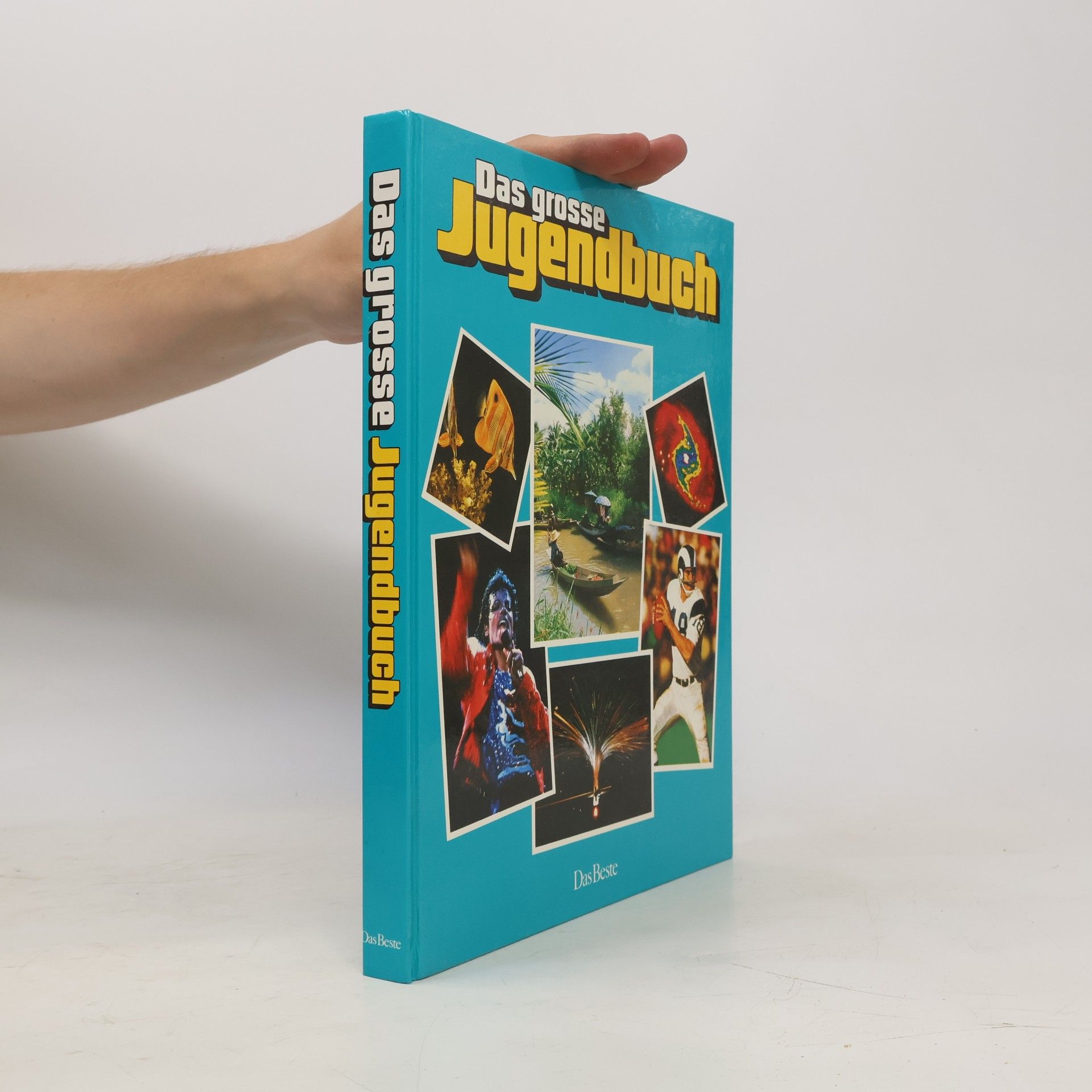 Various authors Das große Jugendbuch