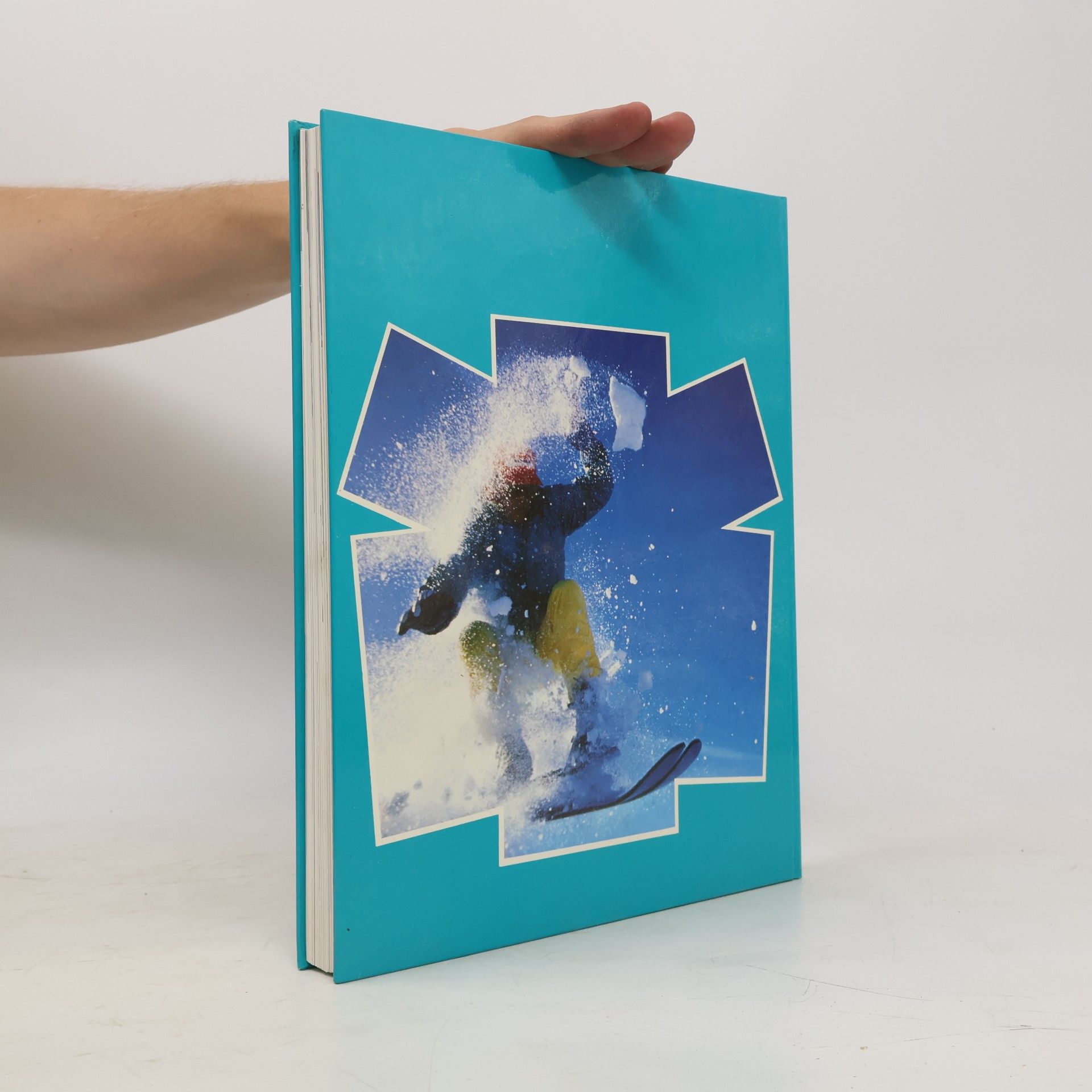 Various authors Das große Jugendbuch