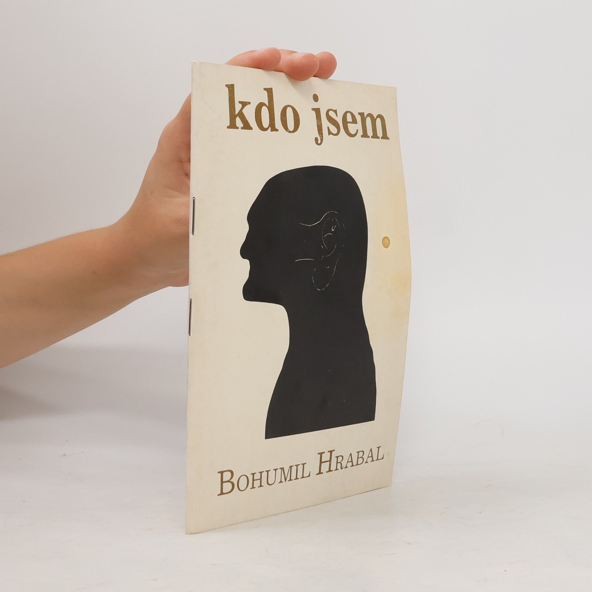 Bohumil Hrabal Kdo jsem
