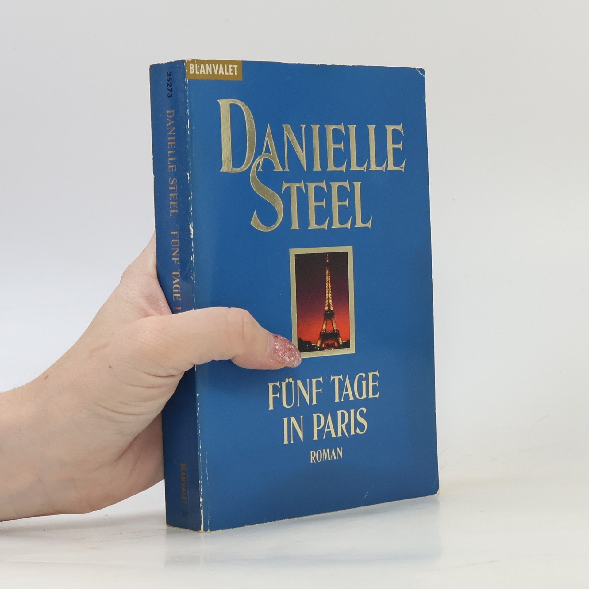 Danielle Steel Fünf Tage in Paris
