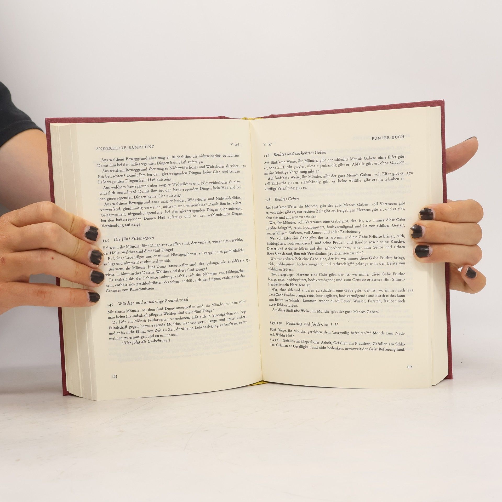 Autorenkollektiv Die Lehrreden des Buddha aus der Angereihten Sammlung