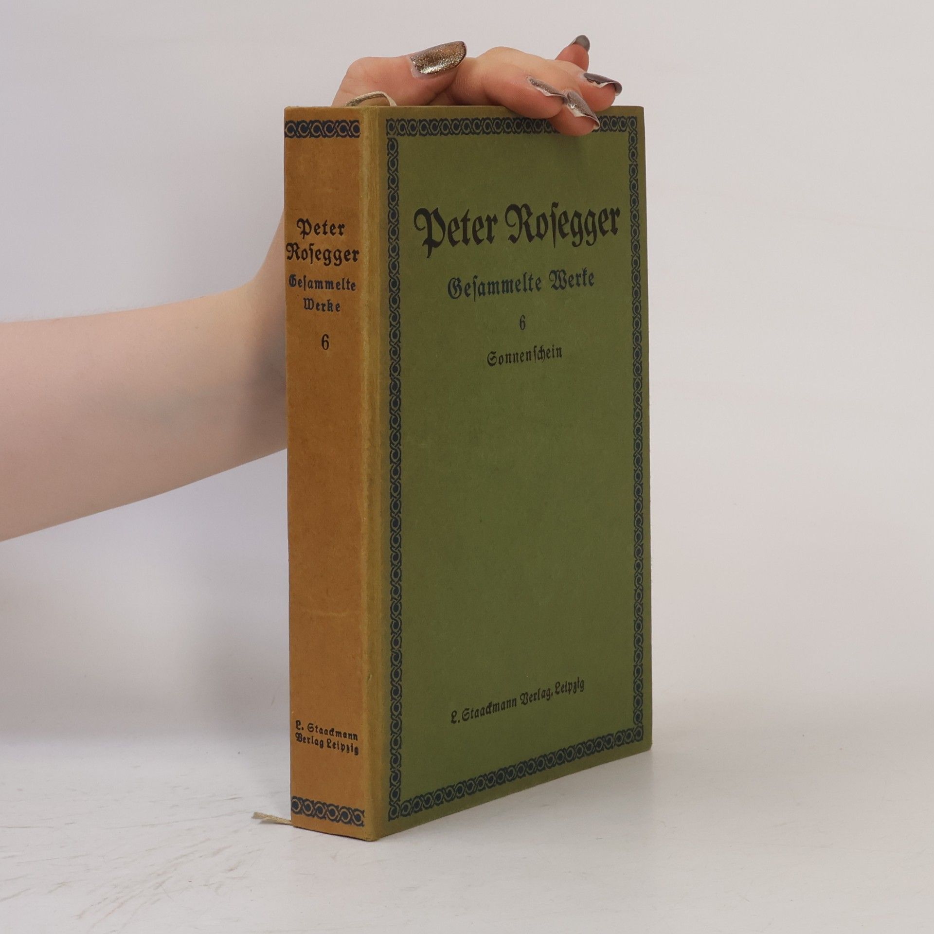 Peter Rosegger Gesammelte Werke 6