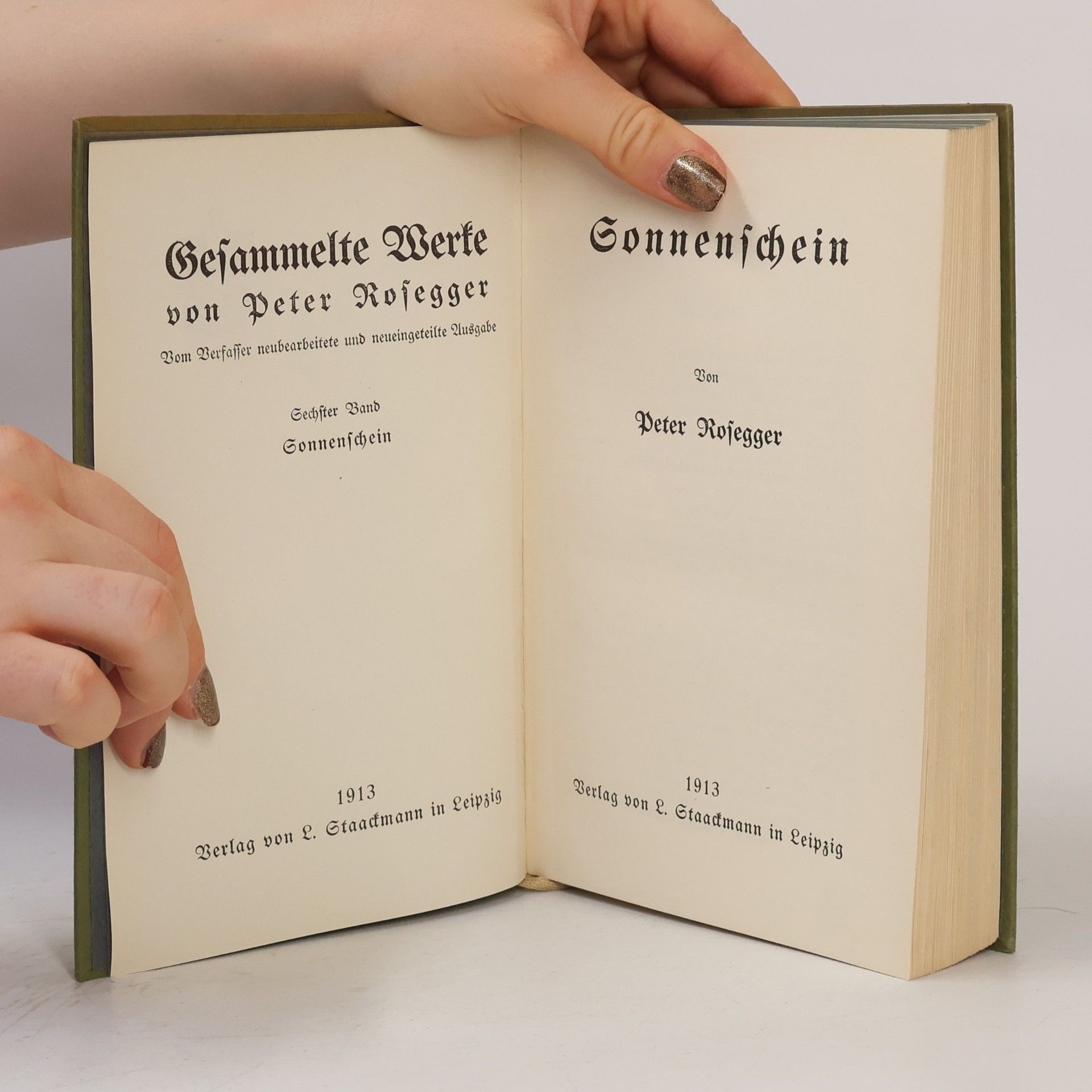 Peter Rosegger Gesammelte Werke 6