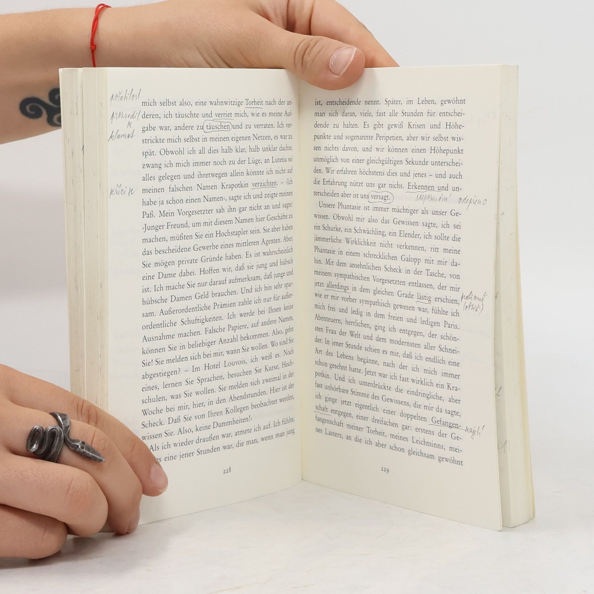 Joseph Roth Meistererzählungen
