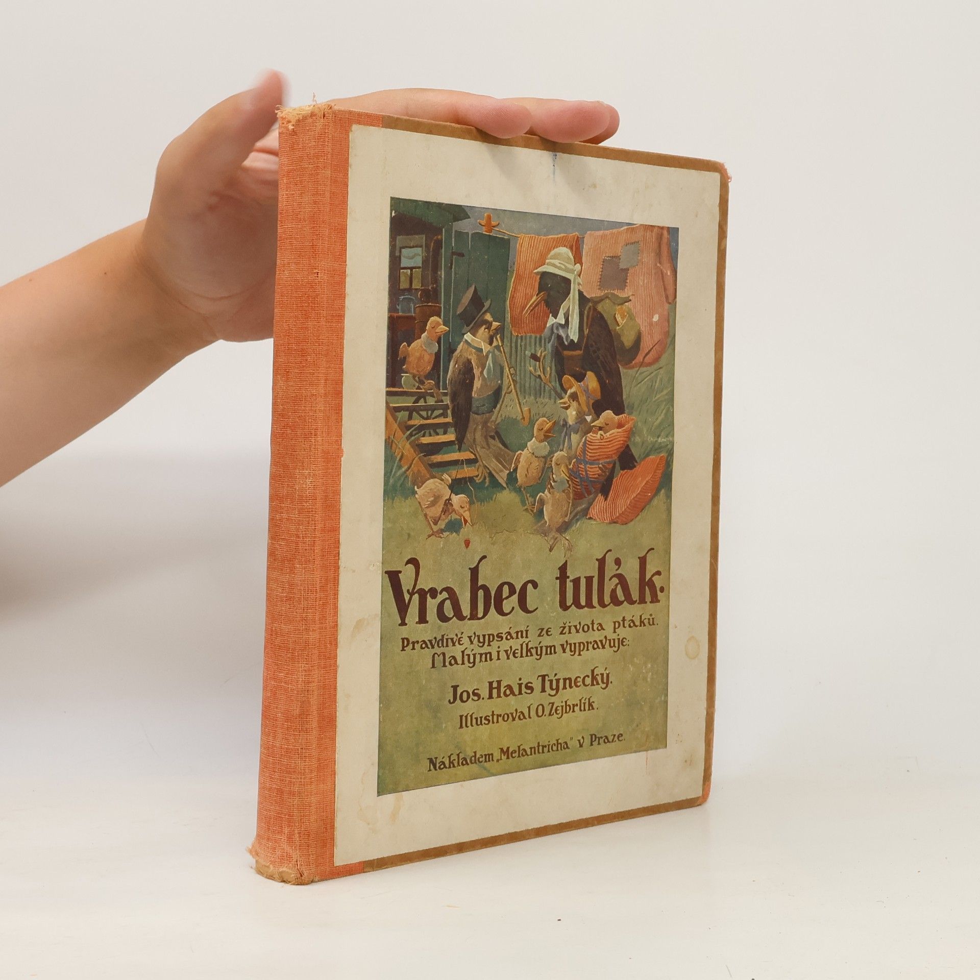 Josef Hais Týnecký Vrabec tulák : pravdivé vypsání ze života ptáků