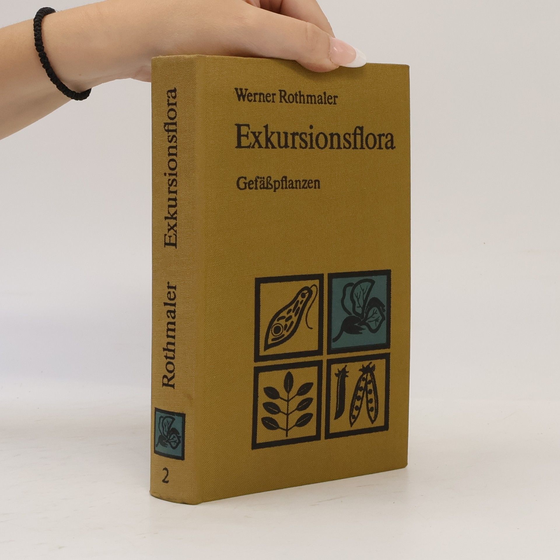 Werner Rothmaler Exkursionsflora für die Gebiete der DDR und der BRD 2