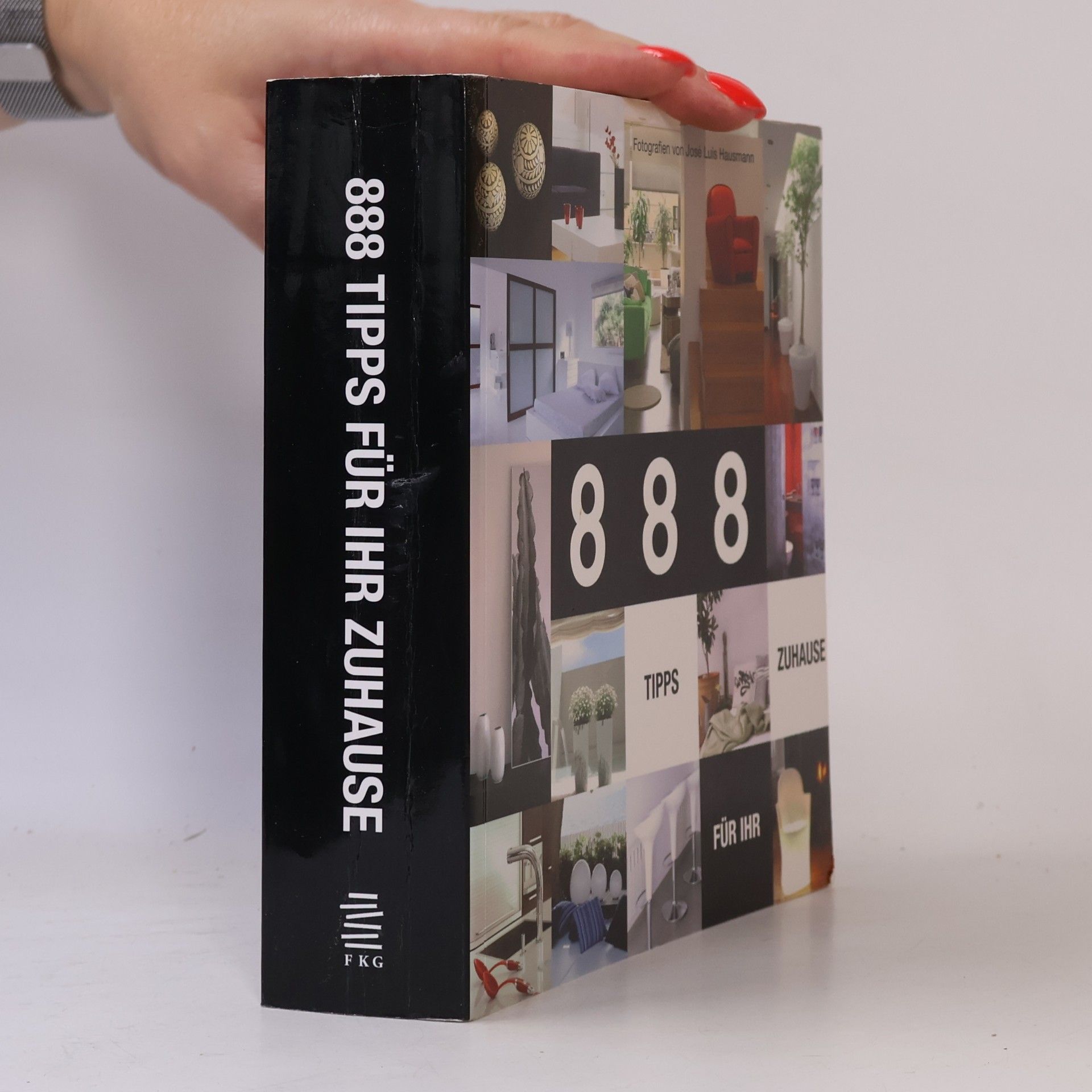 José Luis Hausmann 888 Tipps für Ihr Zuhause
