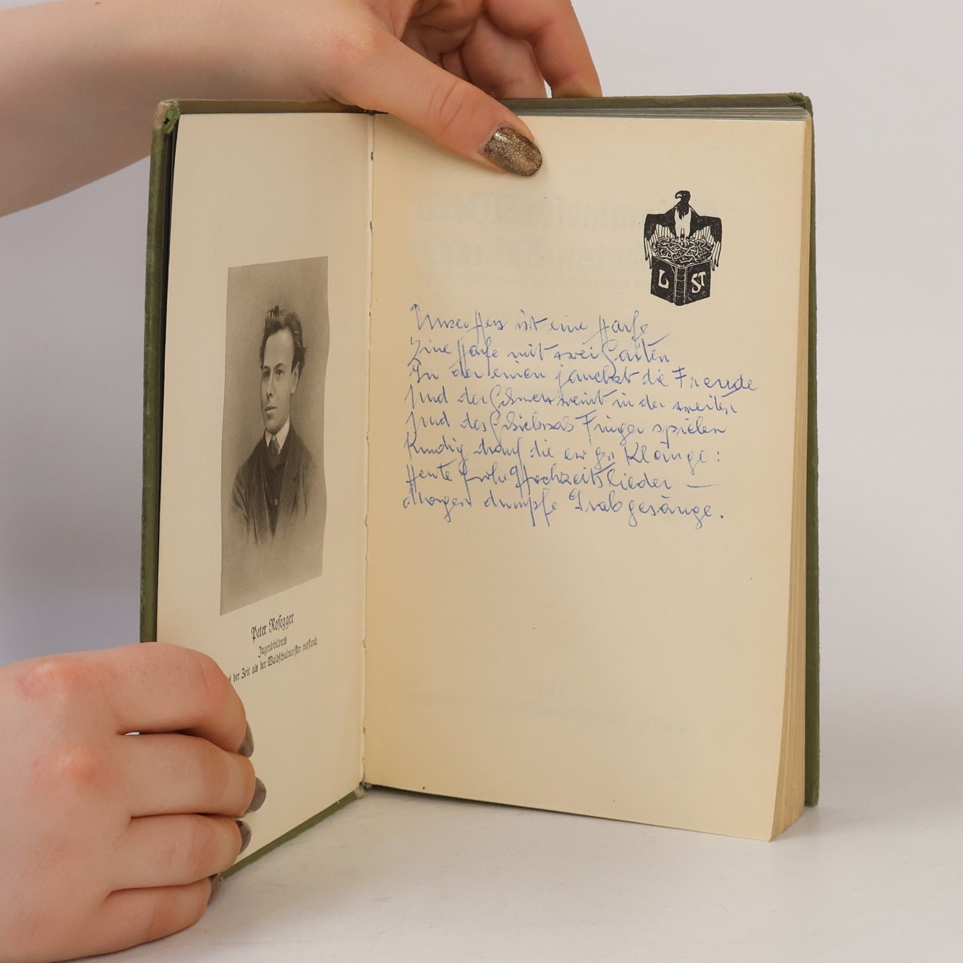 Peter Rosegger Gesammelte Werke 1. Die Schriften des Waldschulmeisters