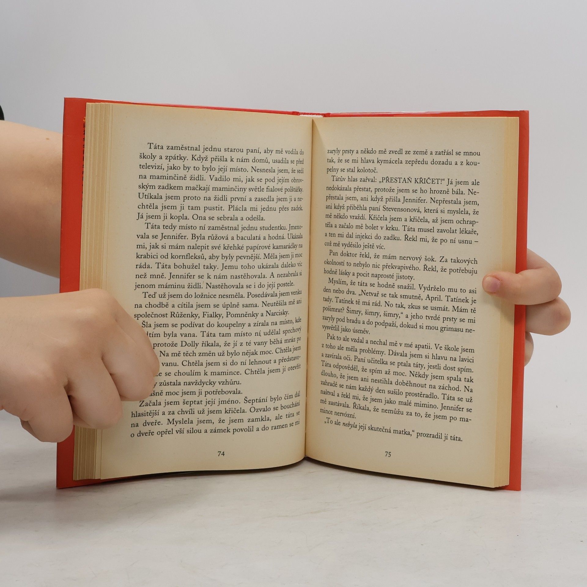 Jacqueline Wilson Holka z popelnice
