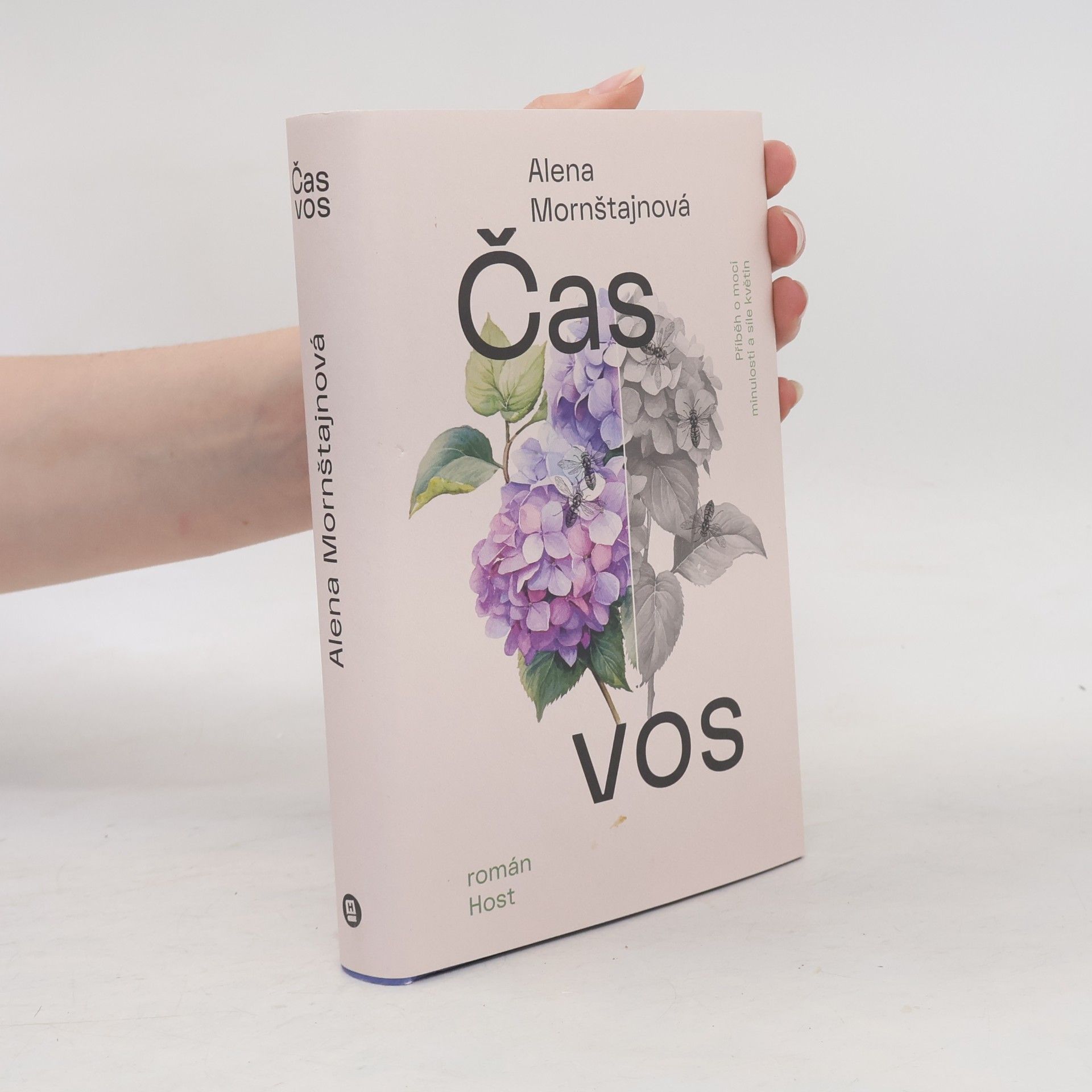 Alena Mornštajnová Čas vos