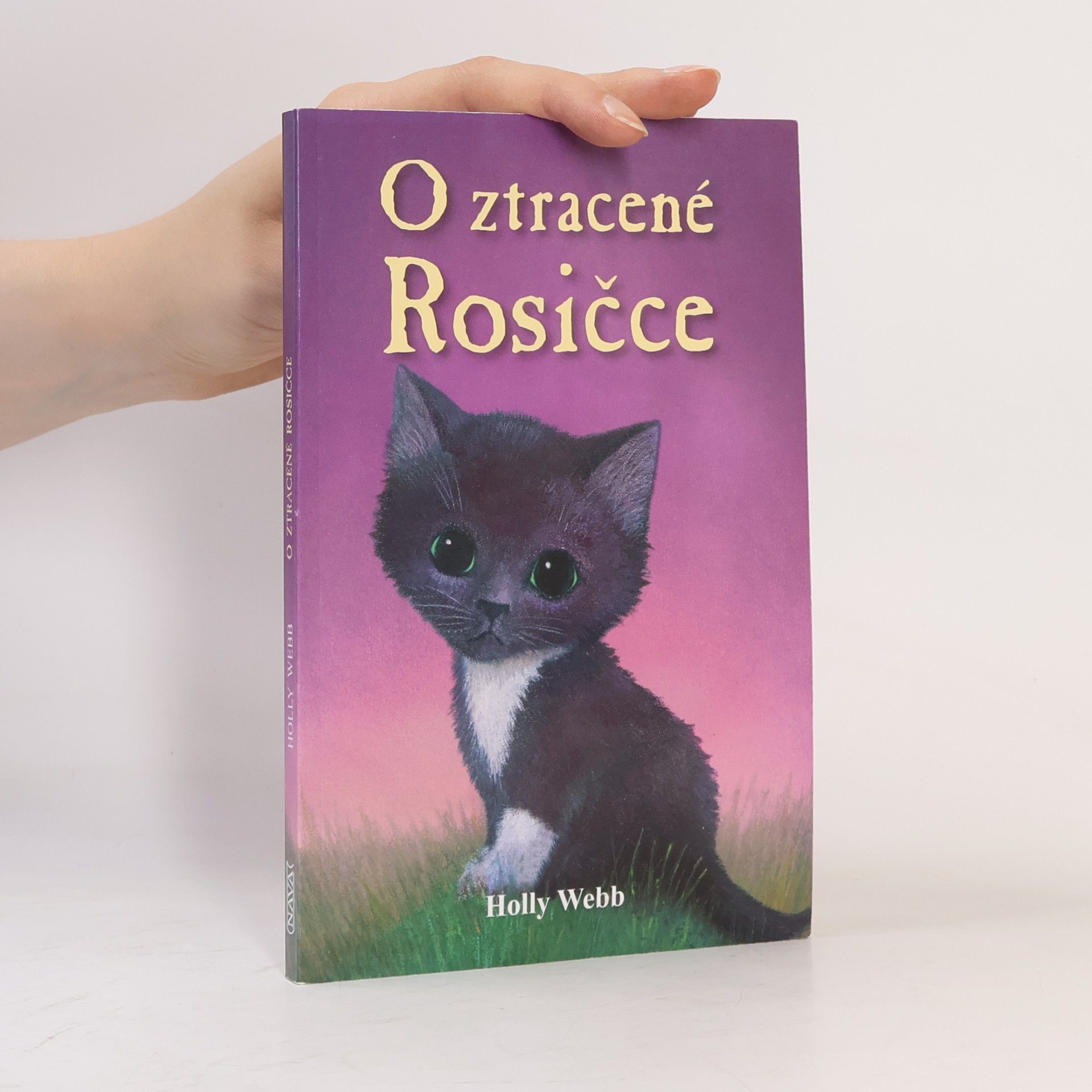 Holly Webb O ztracené Rosičce