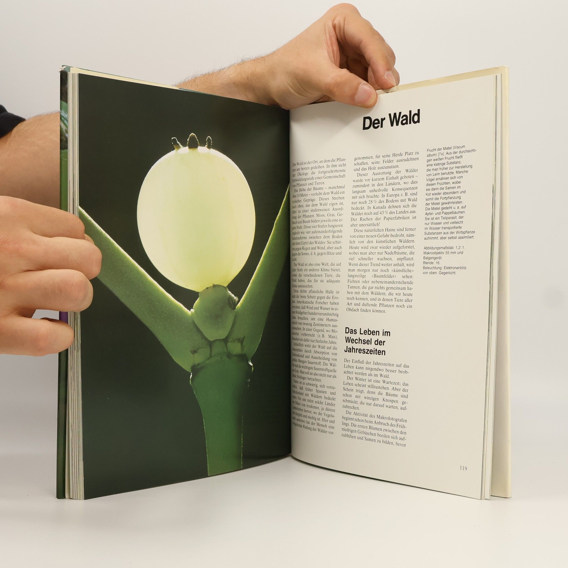 Claude Nuridsany Wunderwelt der Makrofotografie