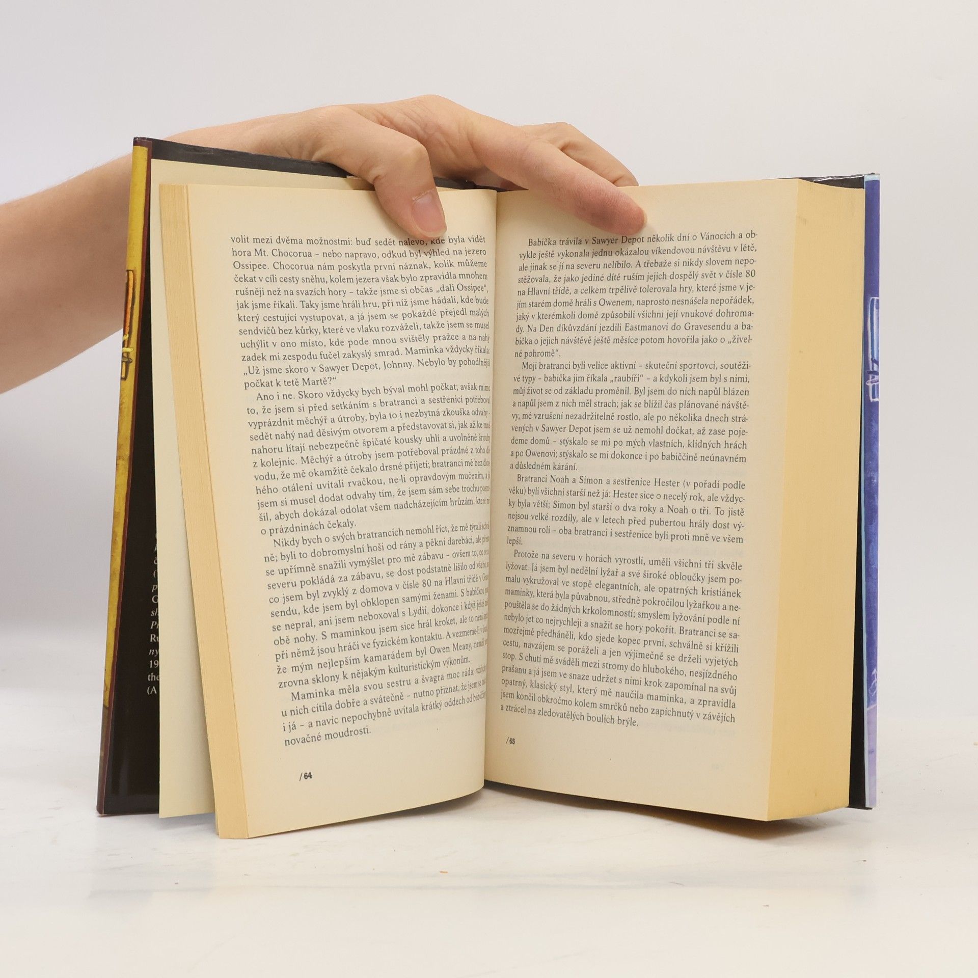 John Irving Modlitba za Owena Meanyho
