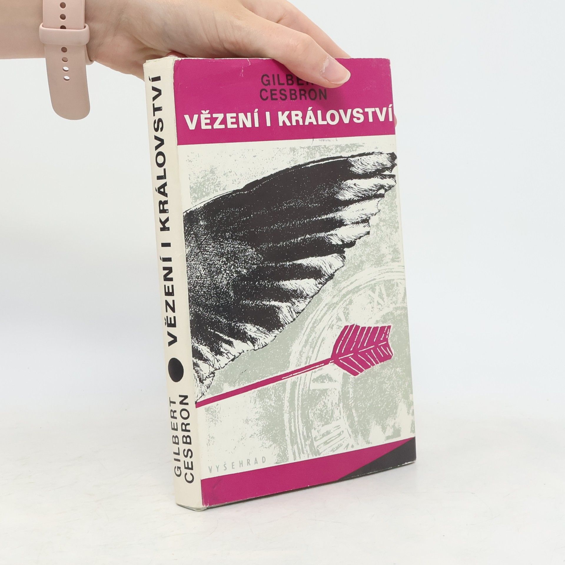 Vladimír Binar Vězení i království