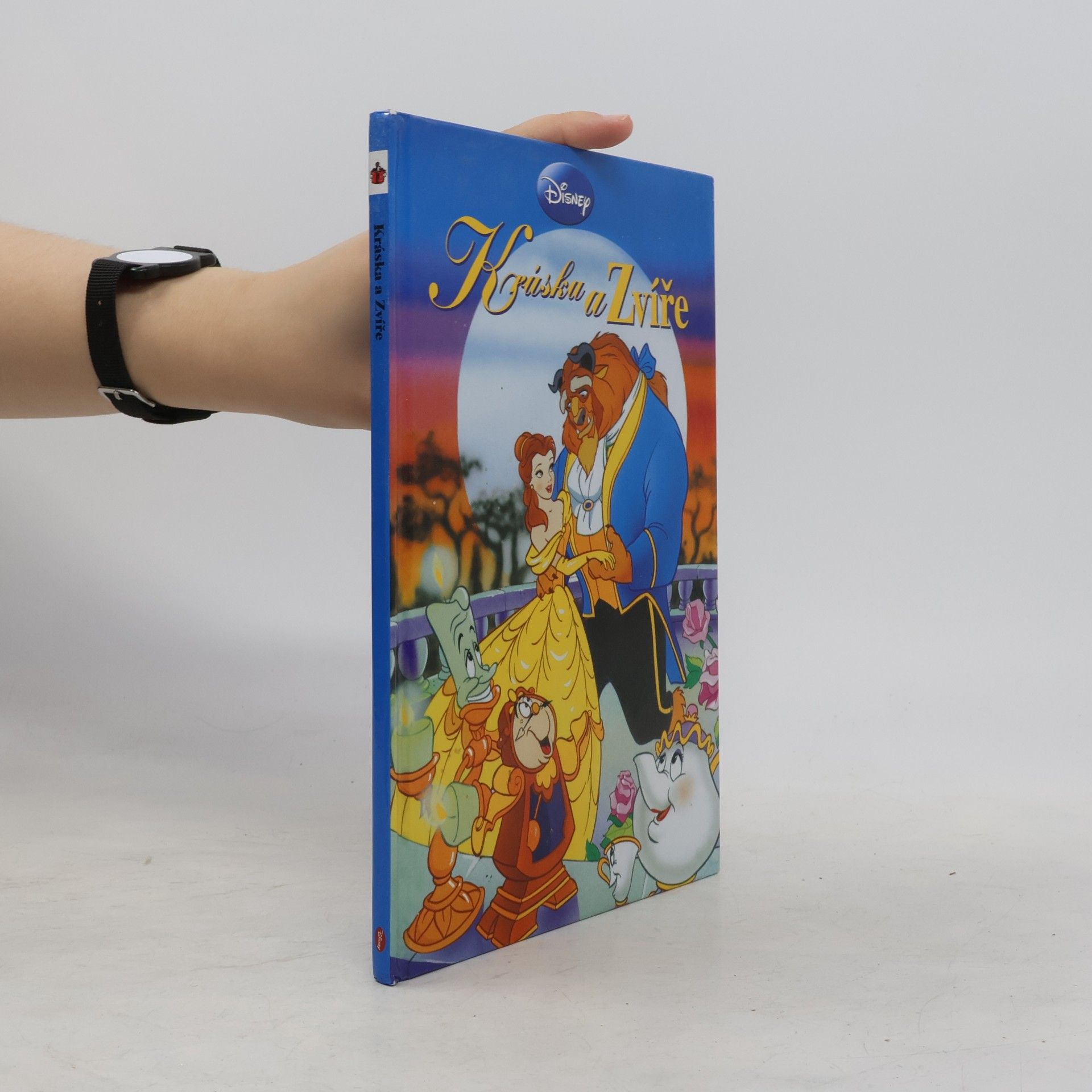 Walt Disney Kráska a Zvíře
