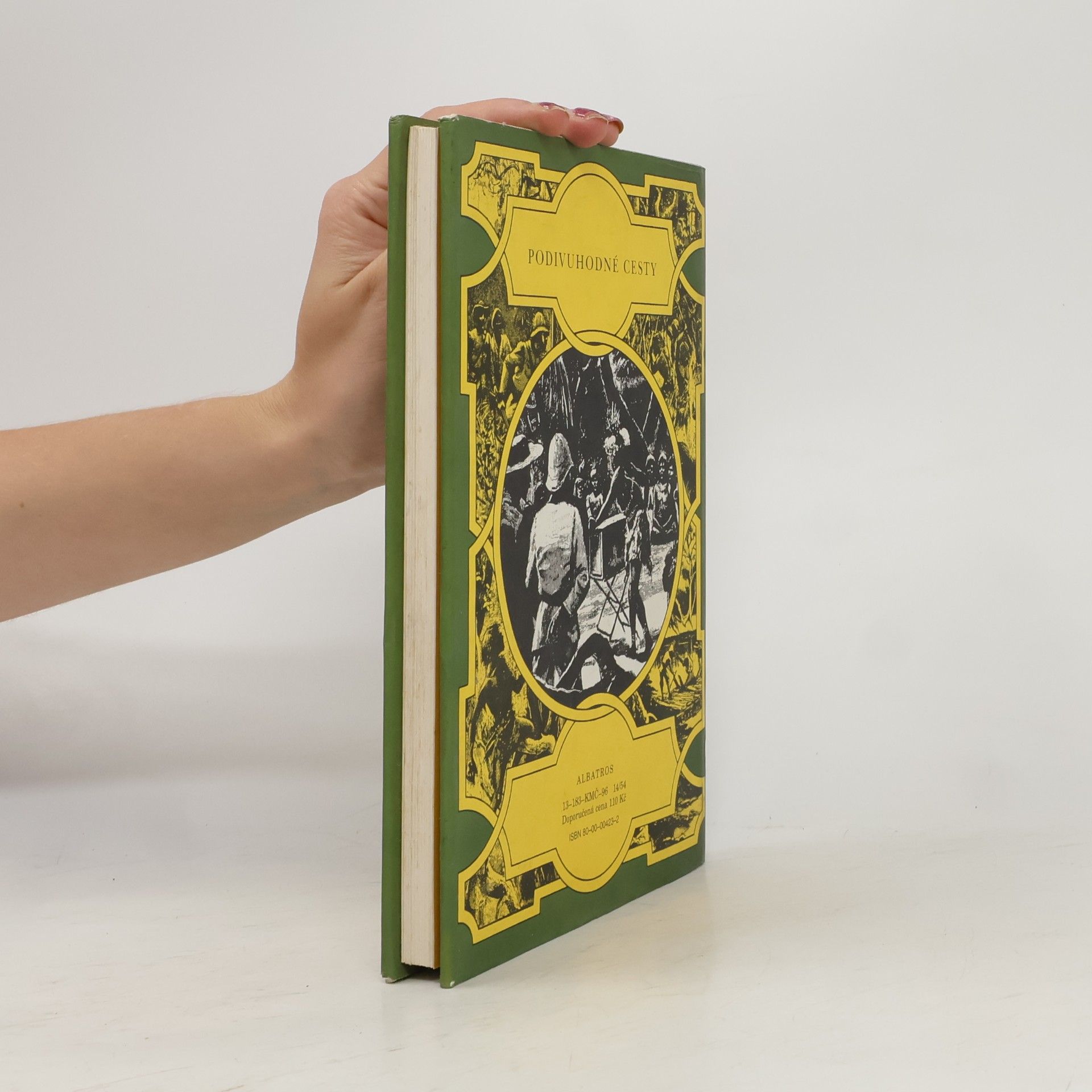 Podivuhodné setkání v džungli