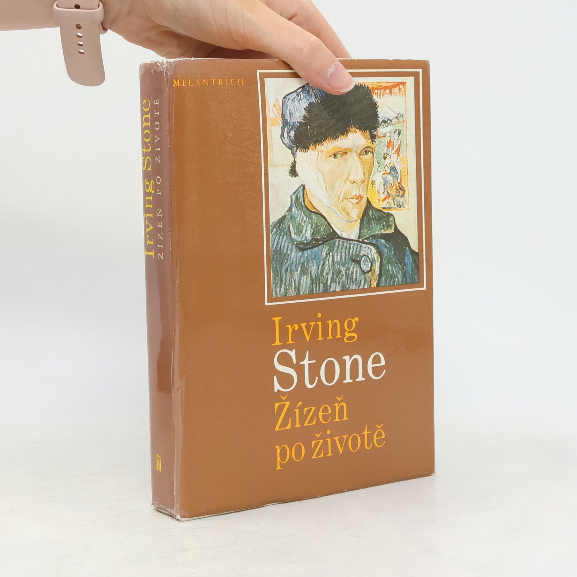Irving Stone Žízeň po životě