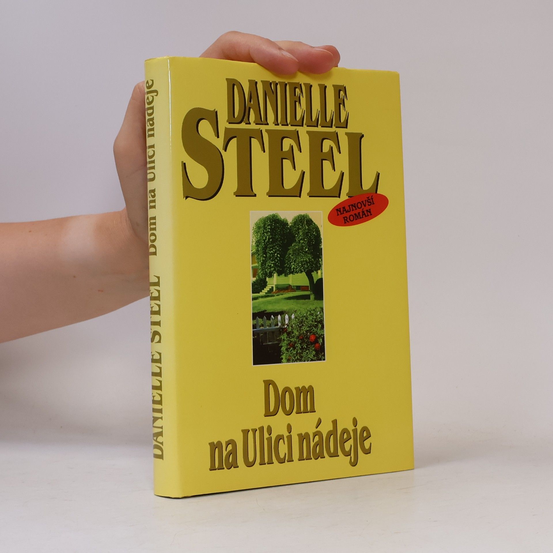 Danielle Steel Dom na Ulici nádeje
