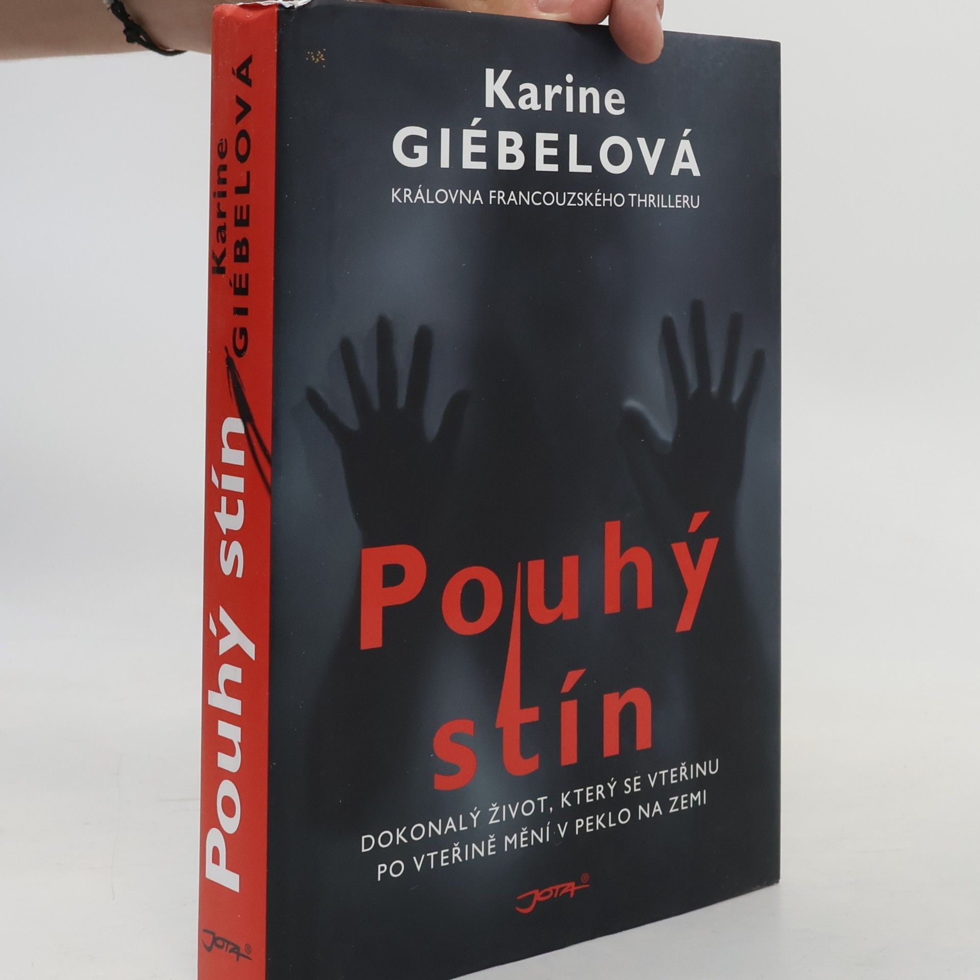 Karine Giebel Pouhý stín