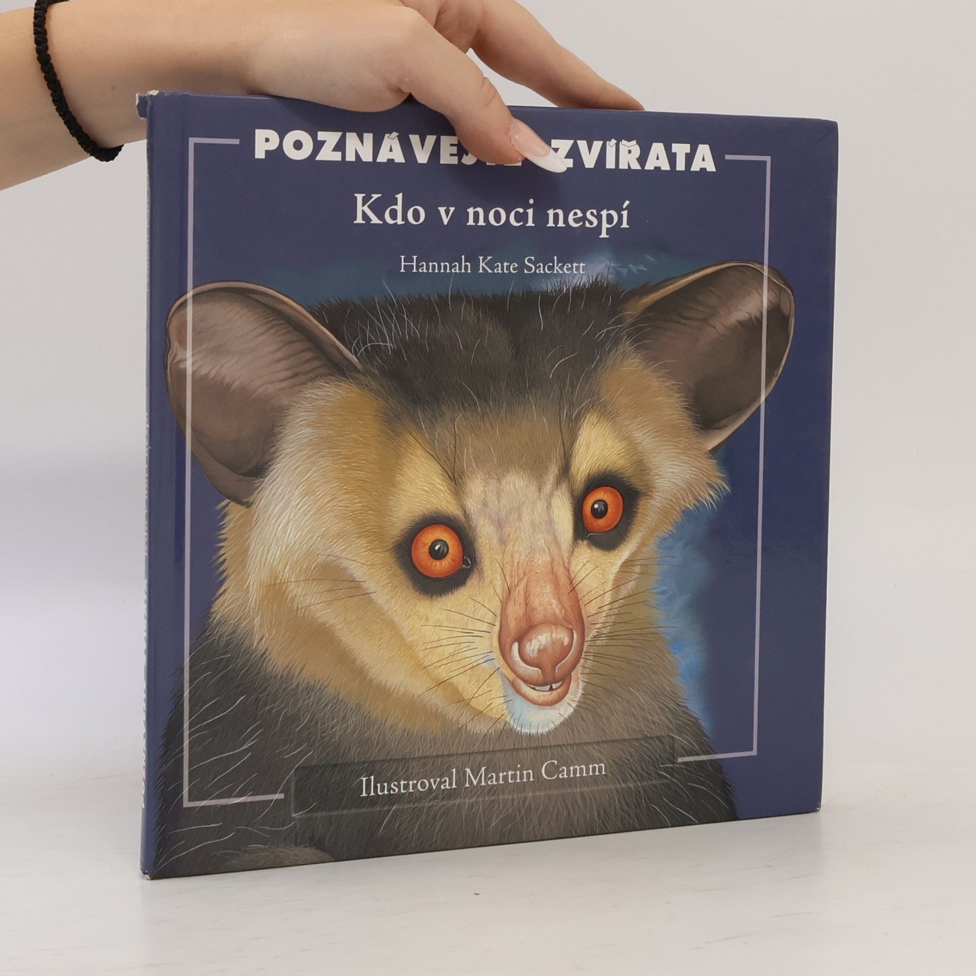 Poznávejte zvířata. Kdo v noci nespí