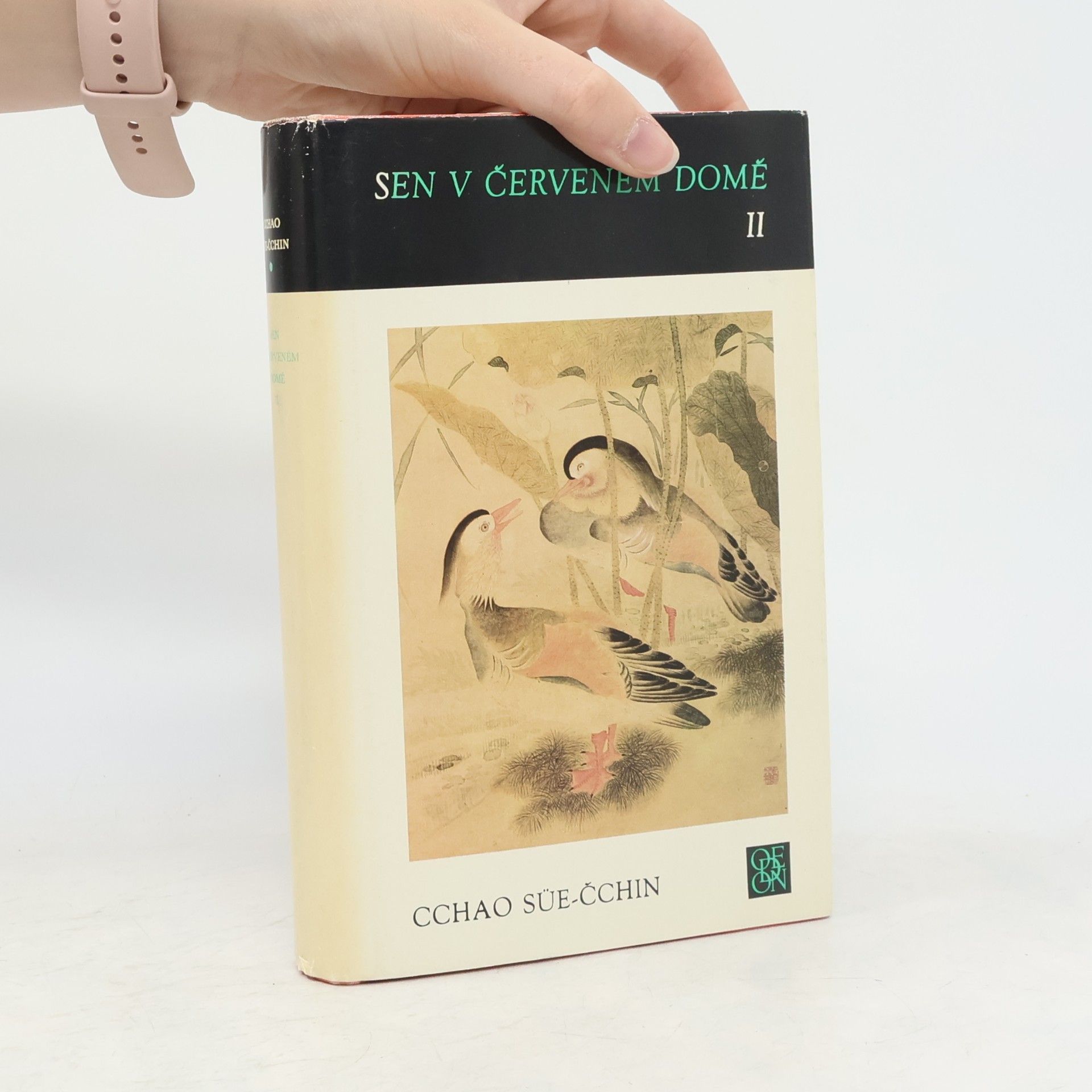 Sen v červeném domě II