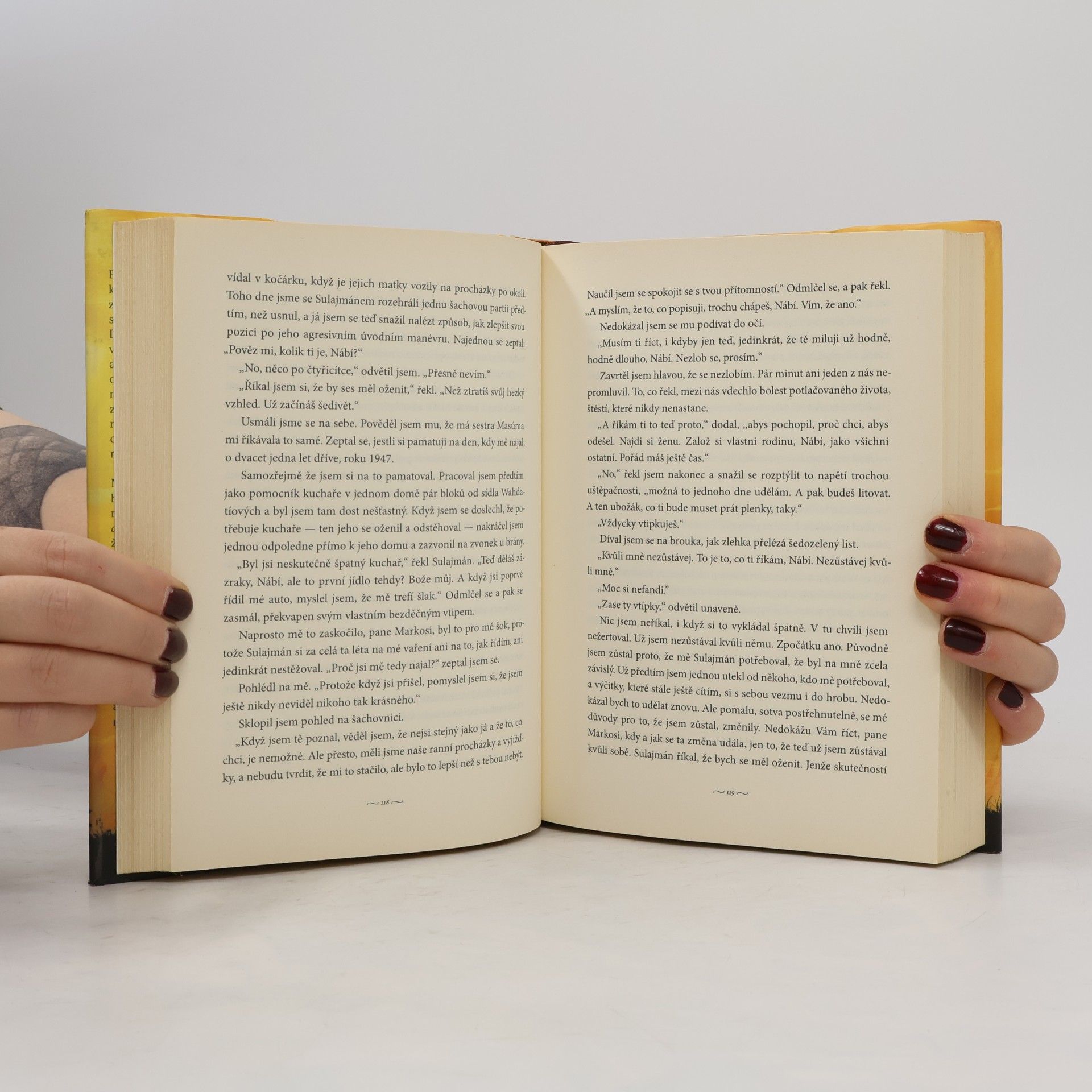 Khaled Hosseini A hory odpověděly