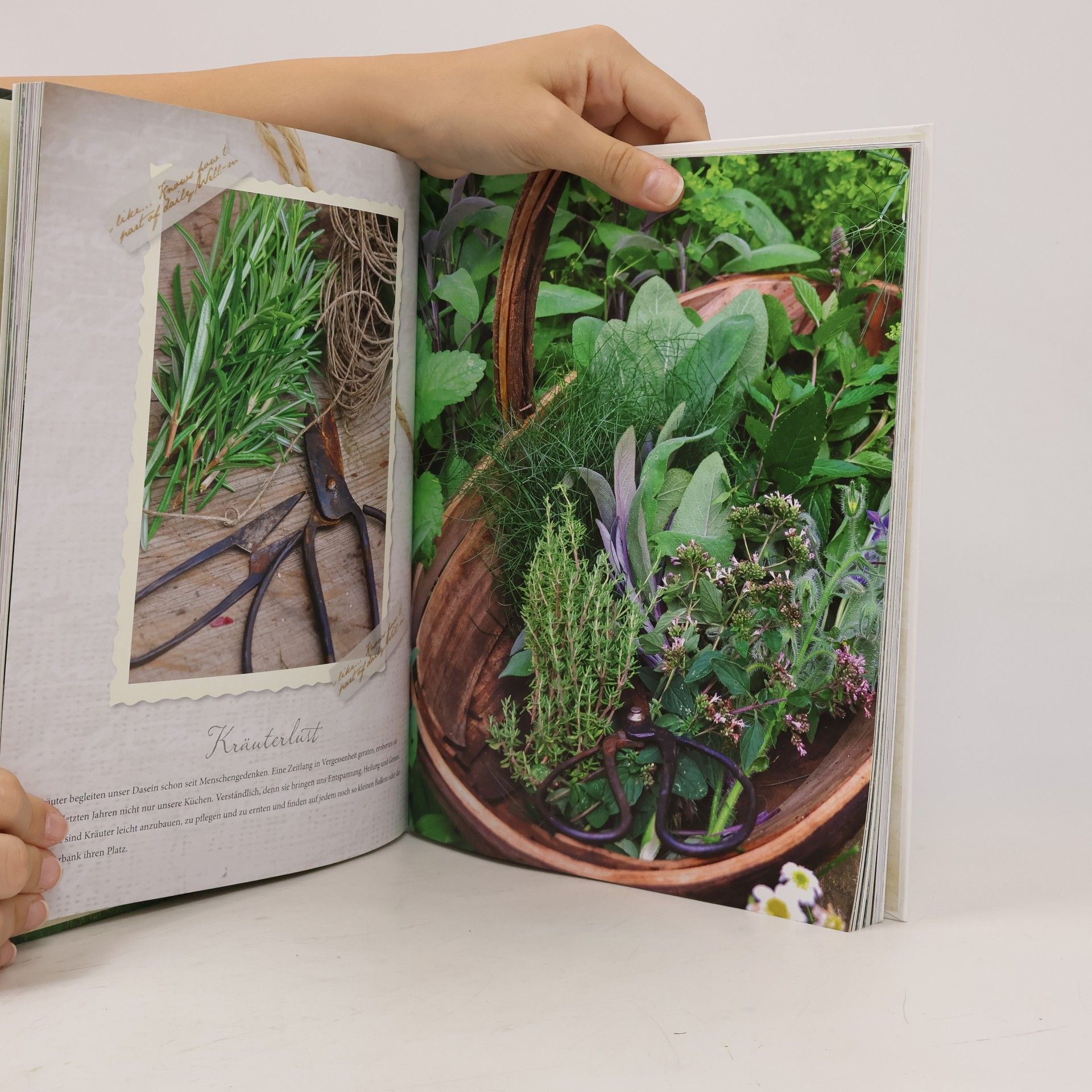 Sonja Bannick Mein nostalgischer Landgarten