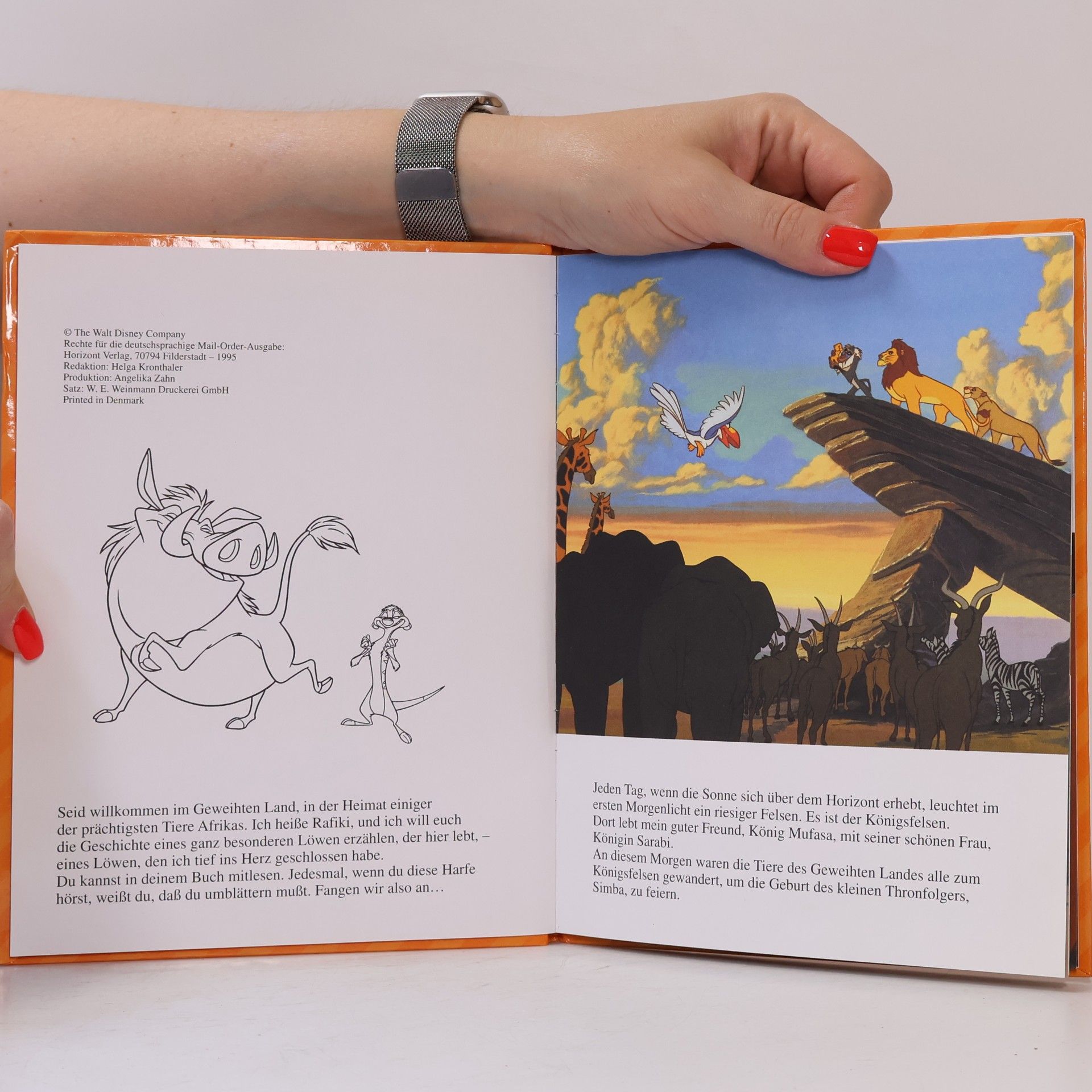 Autorenkollektiv Der König der Löwen