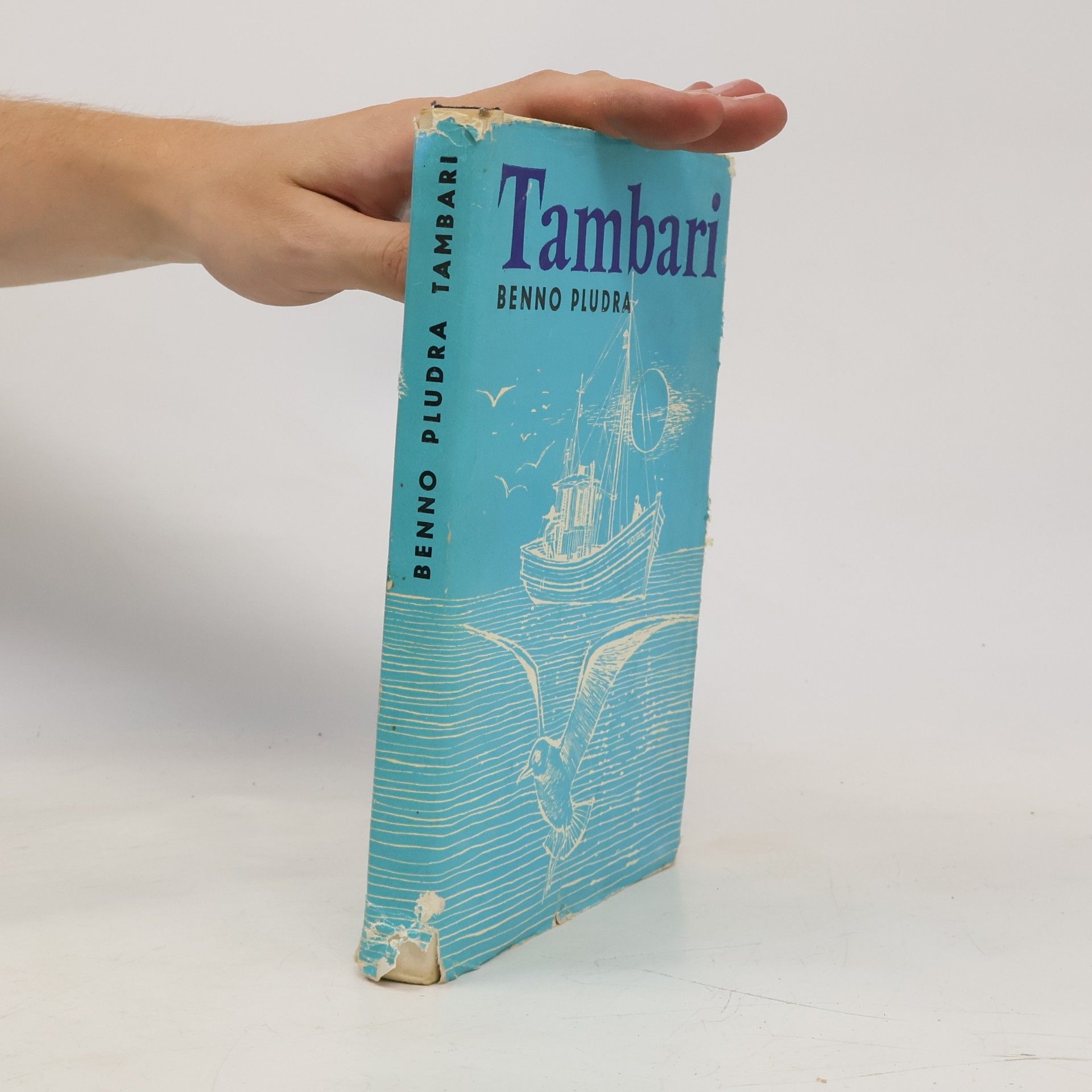 Benno Pludra Tambari