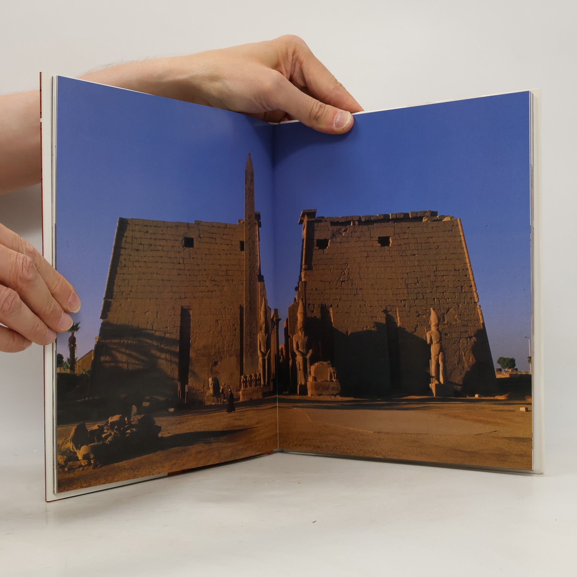 Simonetta Crescimbene Egypt