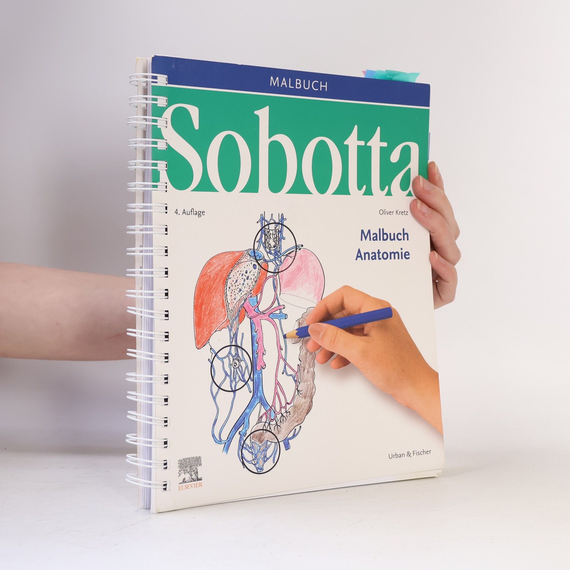 Oliver Kretz Sobotta Malbuch Anatomie