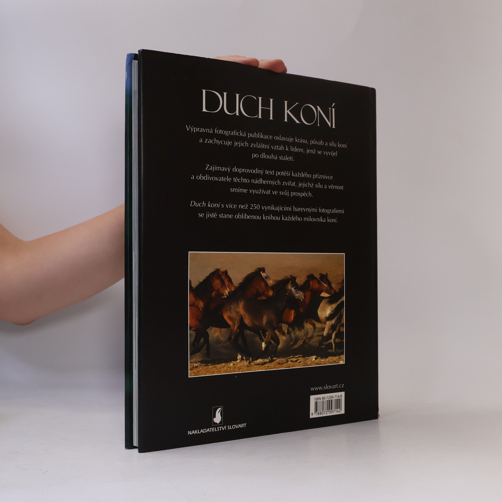 Bob Langrish Duch koní