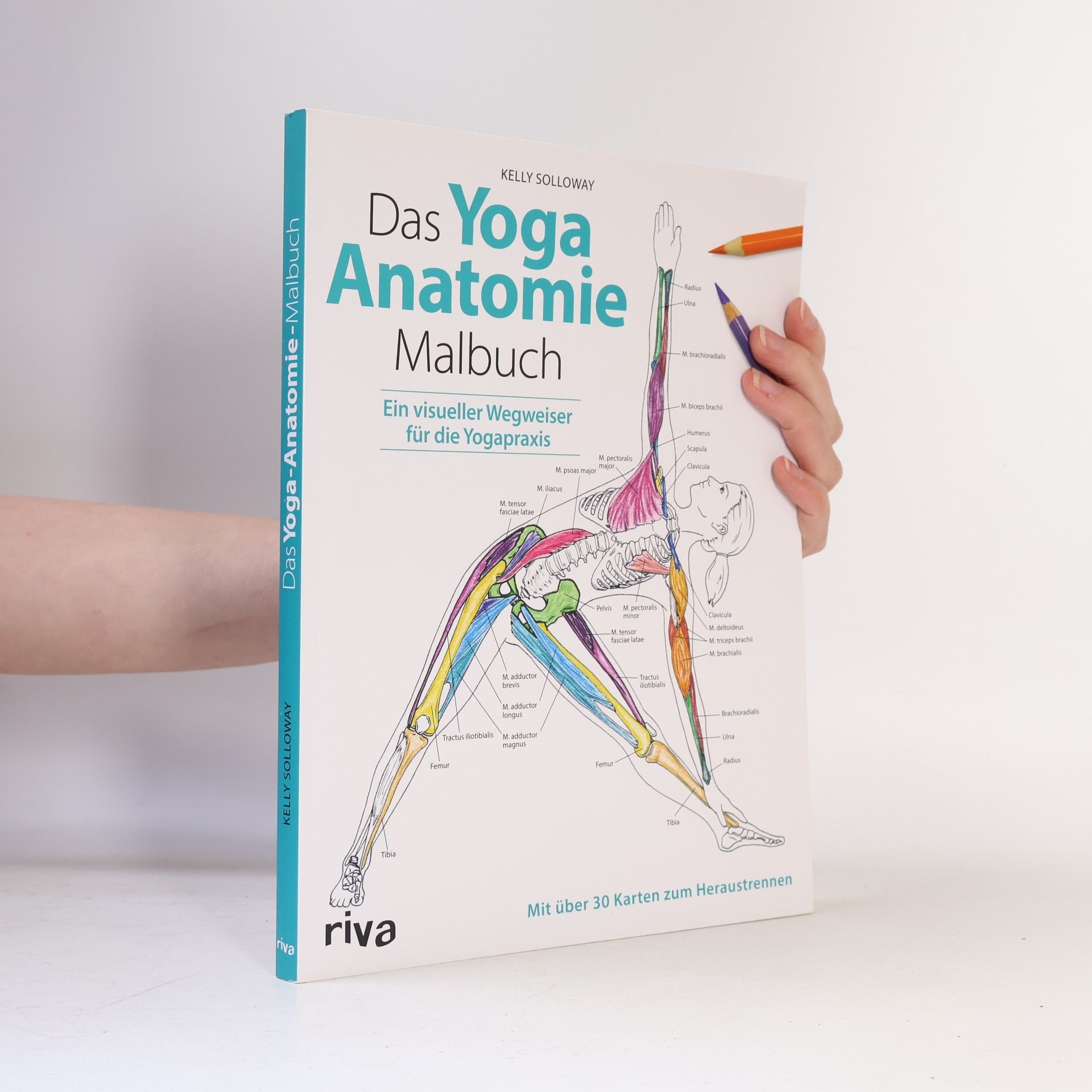 Das Yoga-Anatomie-Malbuch
