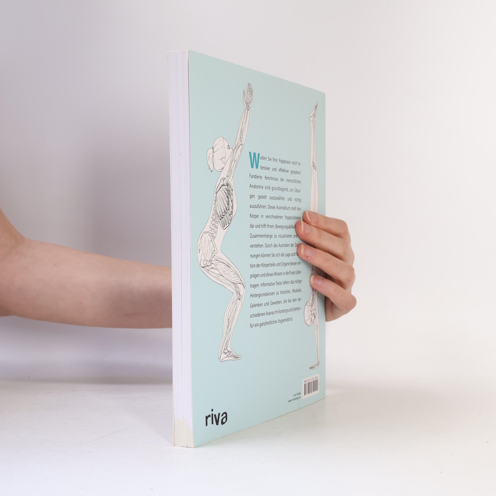 Samantha Stutzman Das Yoga-Anatomie-Malbuch