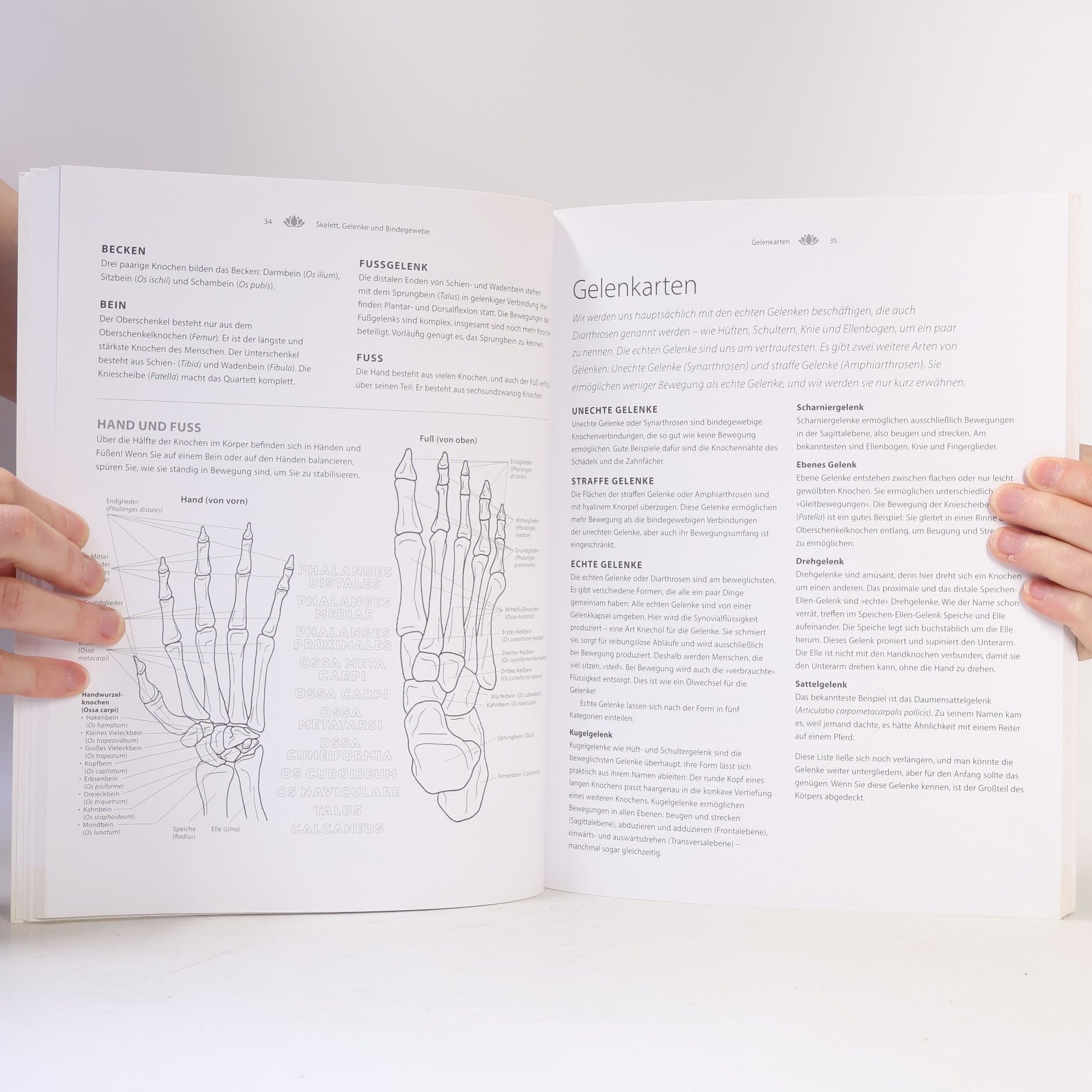 Samantha Stutzman Das Yoga-Anatomie-Malbuch