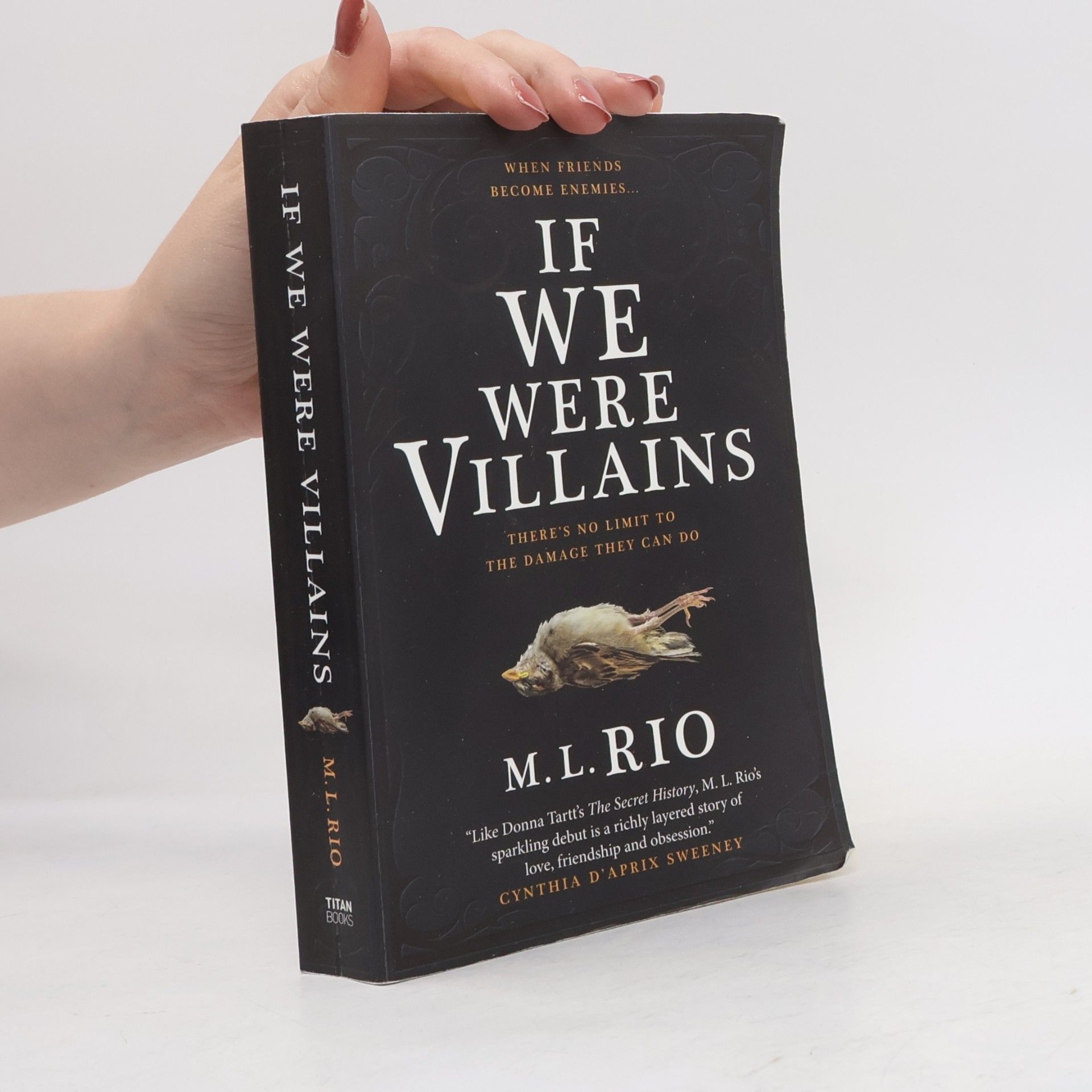 M. L. Rio If We Were Villains