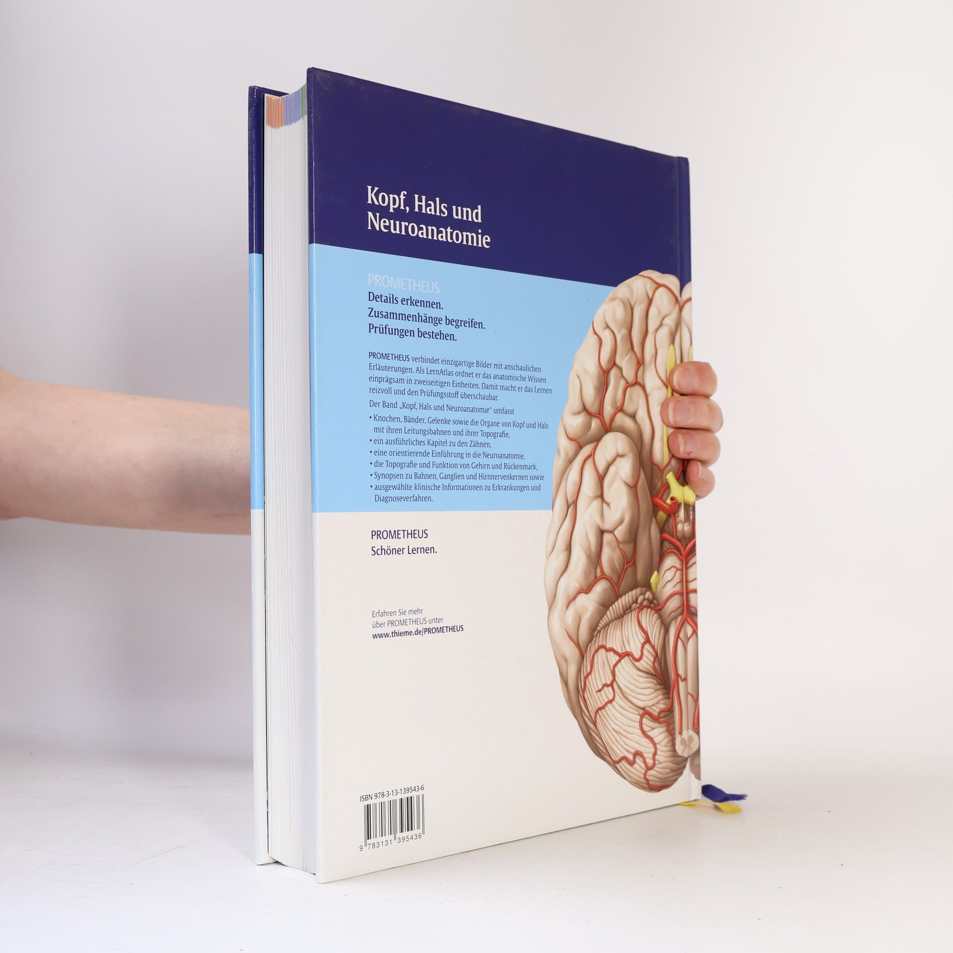 Udo Schumacher PROMETHEUS Kopf, Hals und Neuroanatomie