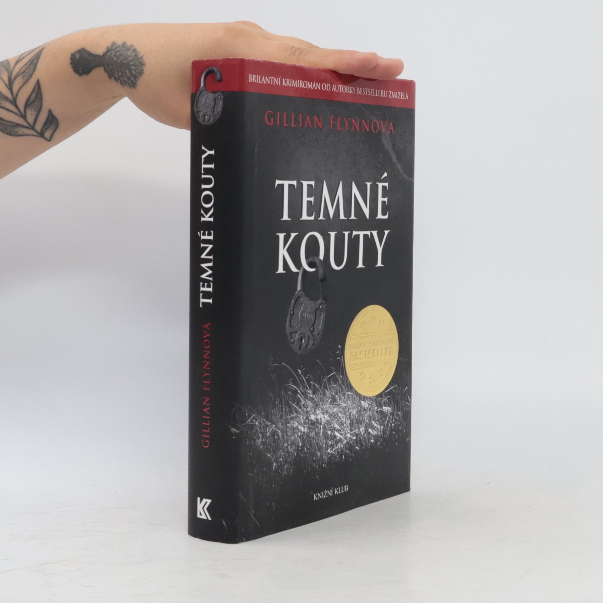 Gillian Flynn Temné kouty