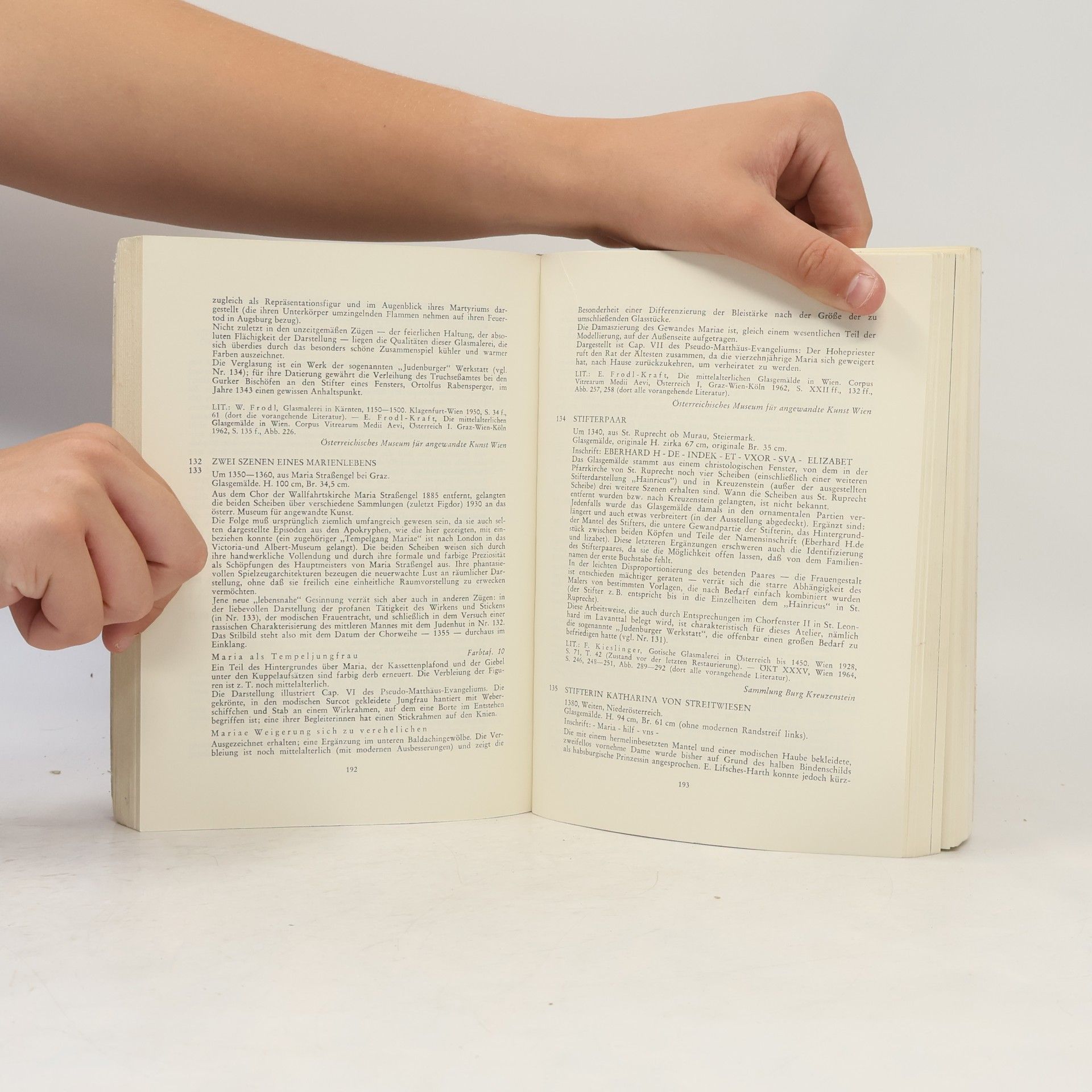 Autores varios Gotik in Österreich