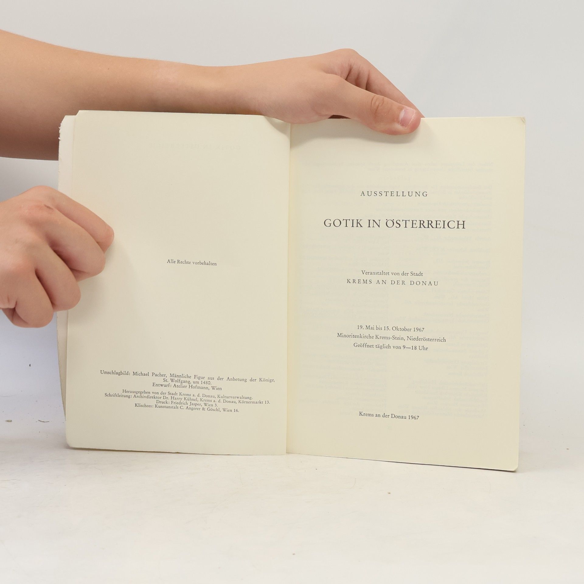 Autores varios Gotik in Österreich