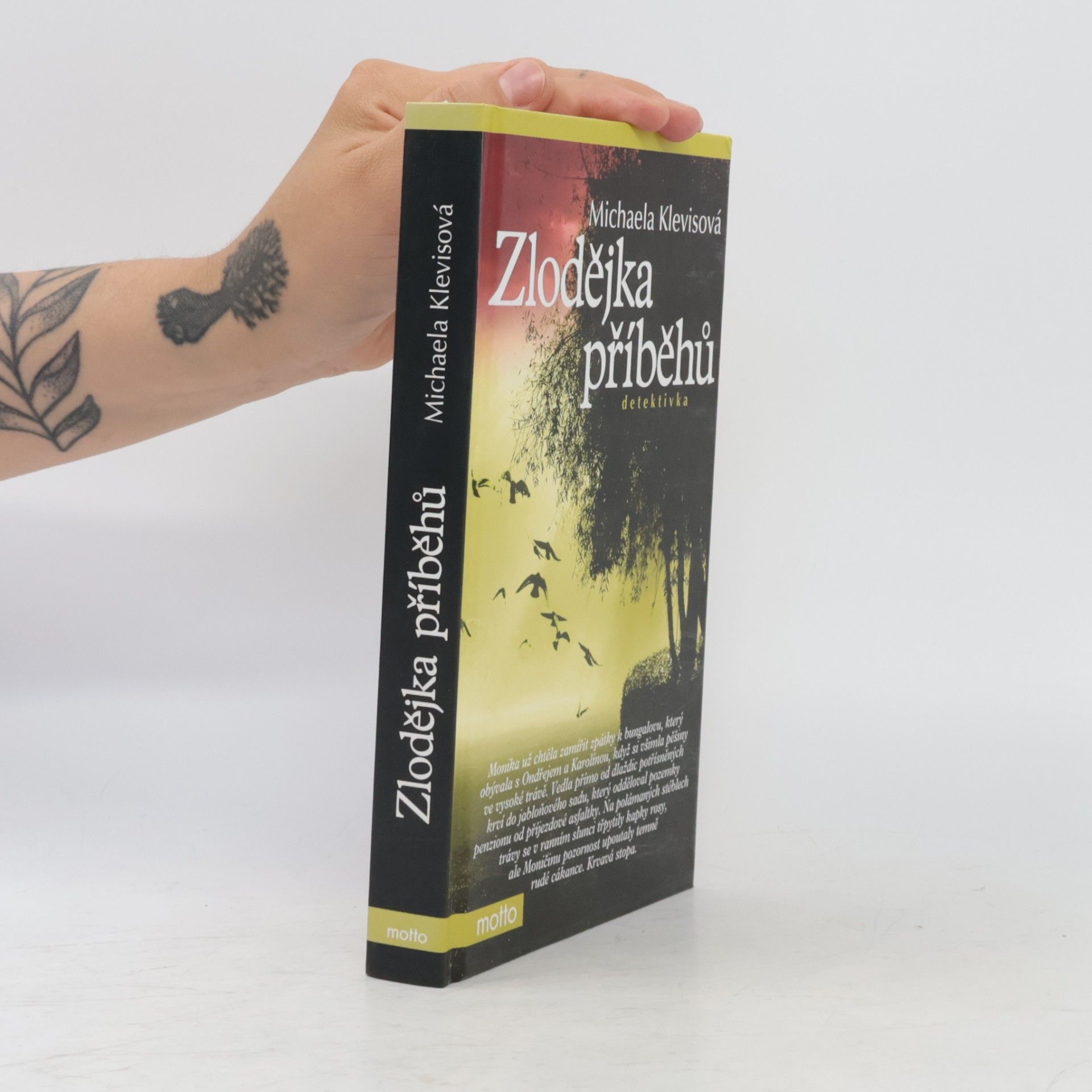 Michaela Klevisová Zlodějka příběhů