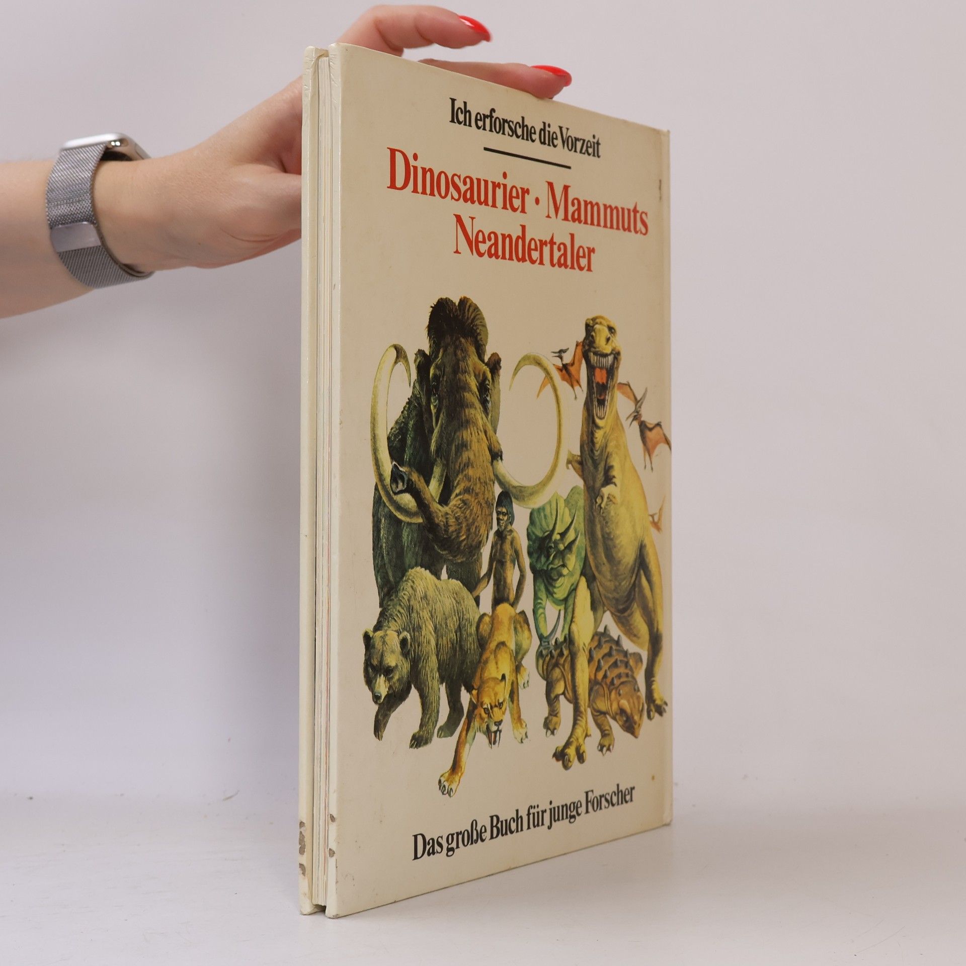 Anne Mac Cord Dinosaurier. Mammuts. Neandertaler : Das grosse Buch für junge Forscher.