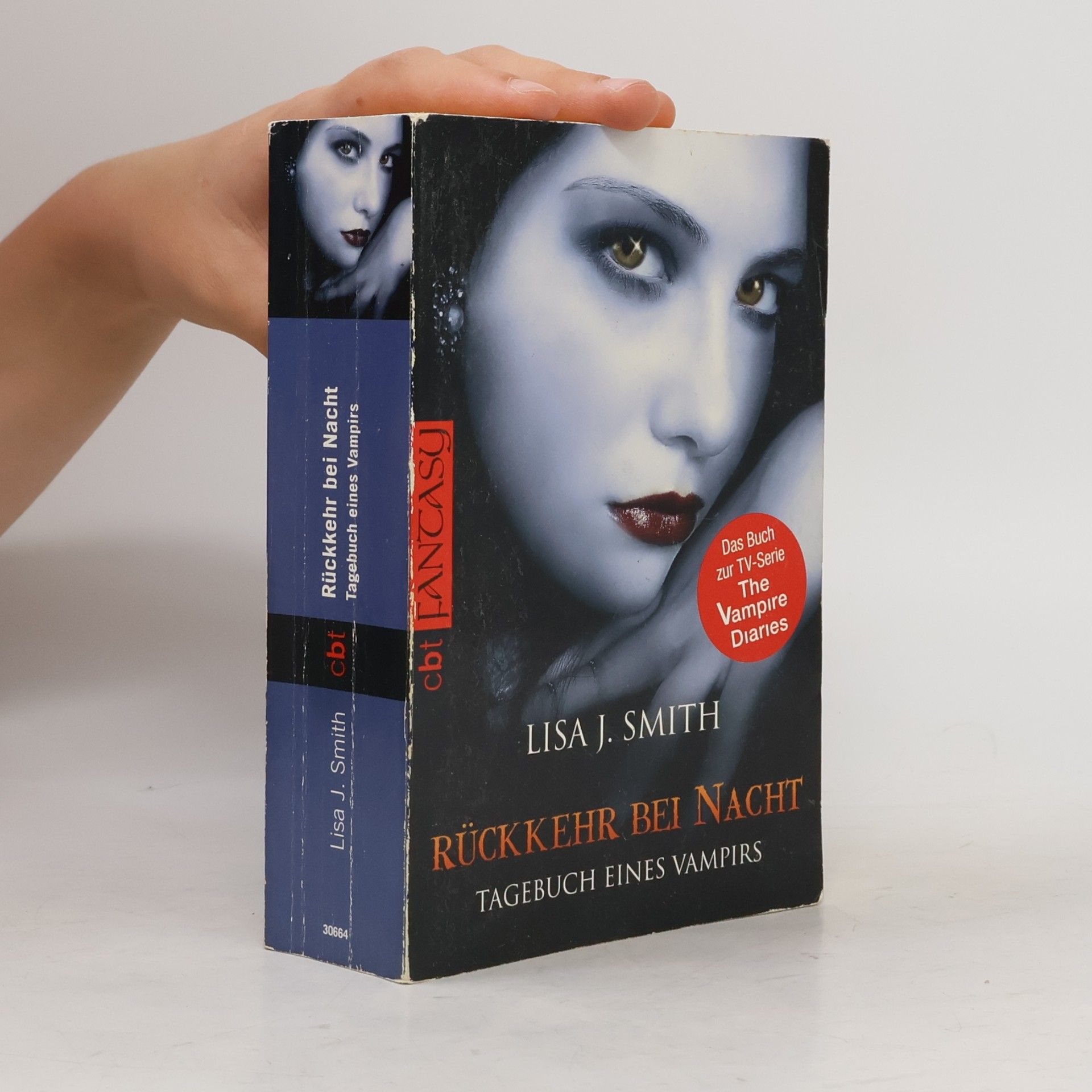 L. J. Smithová Rückkehr bei Nacht