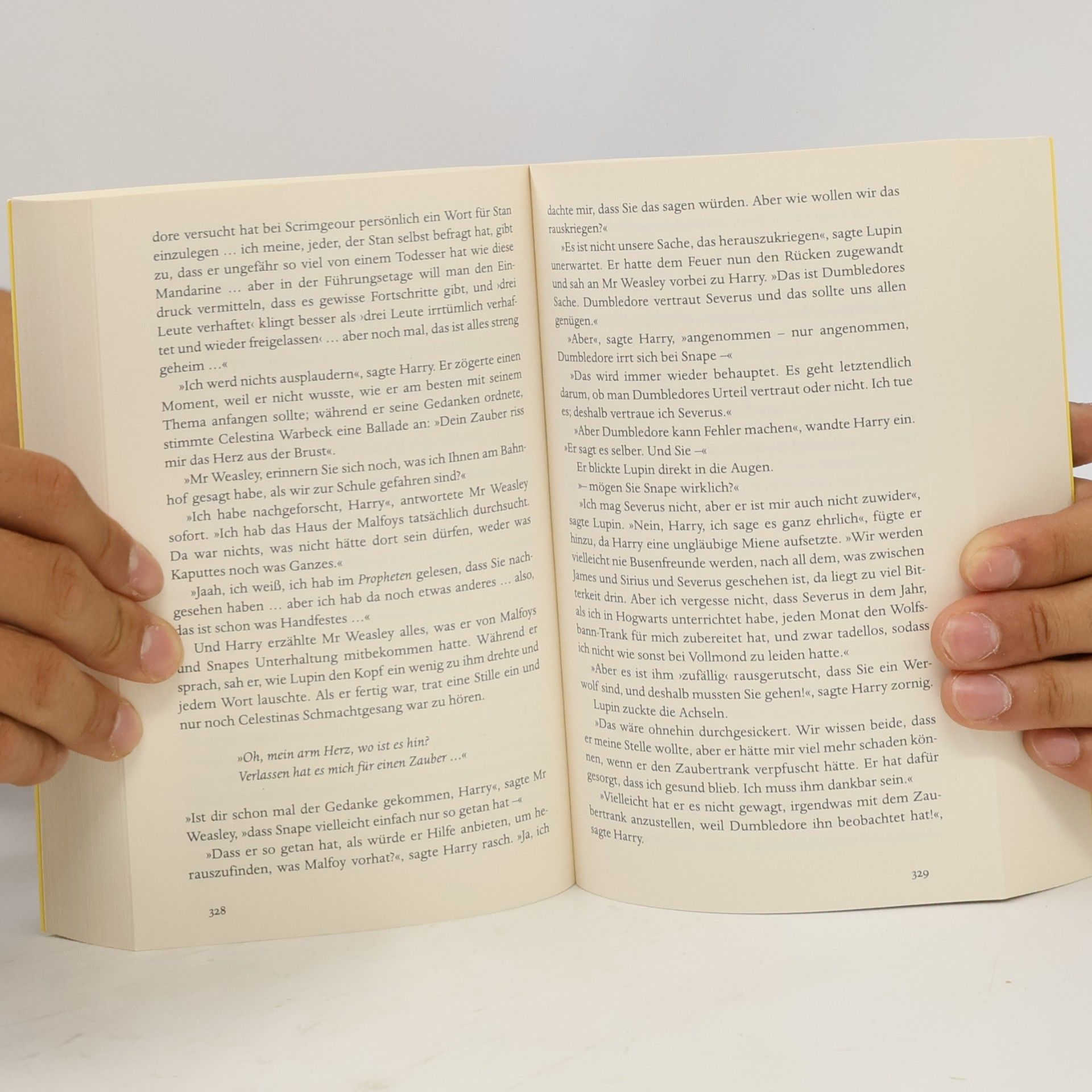 Fritz-Klaus Kochan Harry Potter und der HalbblutpRinz